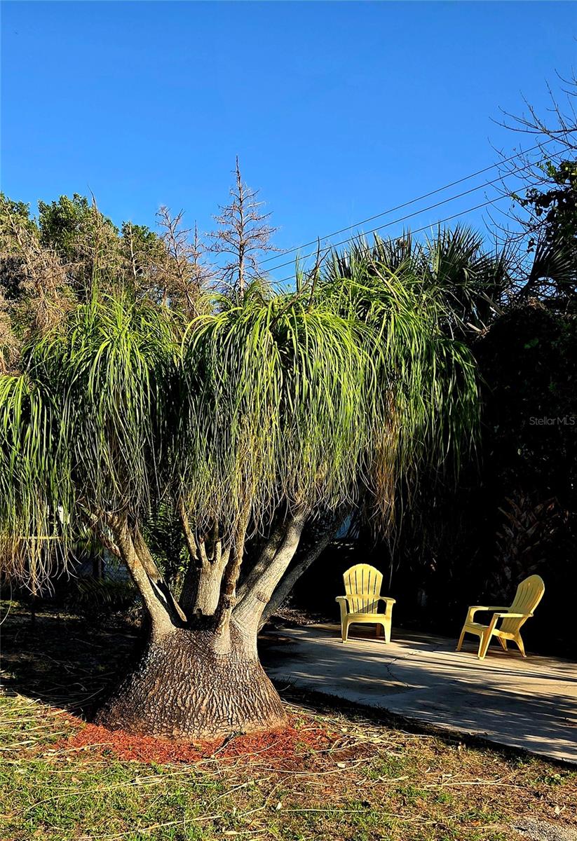 Image 24 of 28 For 744 Conreid Drive Ne