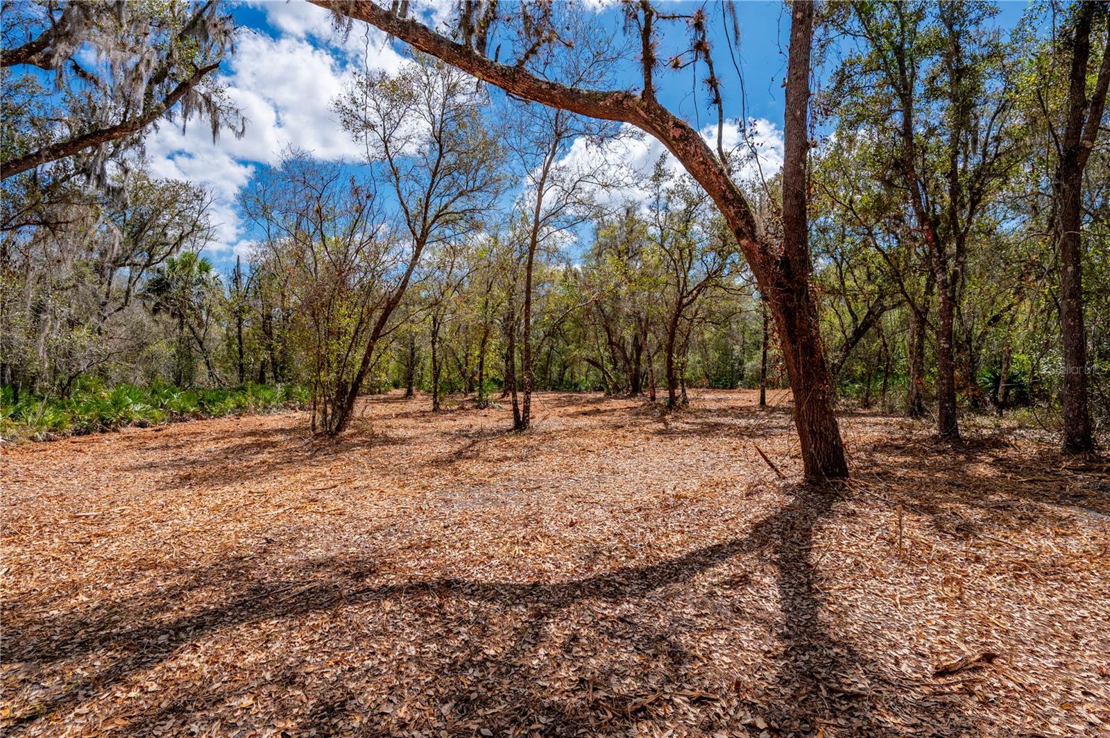 Image 10 of 10 For Se Hwy 31  30