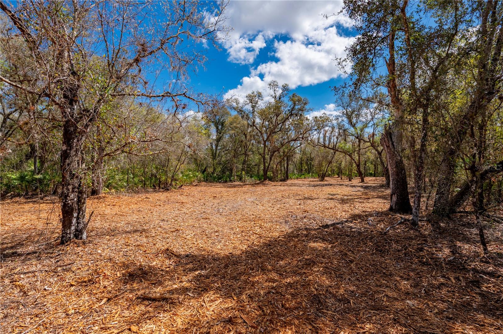 Image 8 of 10 For Se Hwy 31  30