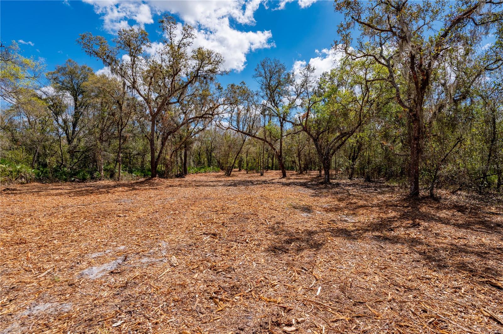 Image 9 of 10 For Se Hwy 31  30