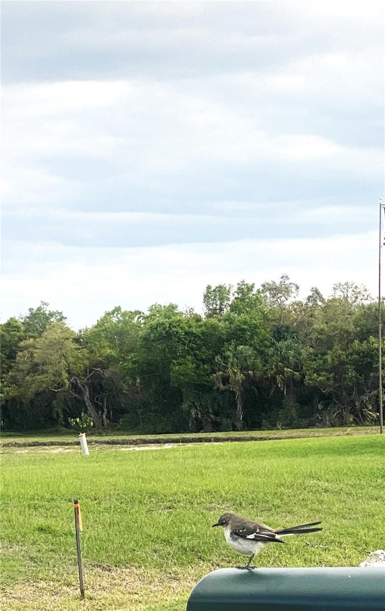 Image 9 of 11 For 2224 Peterborough Road