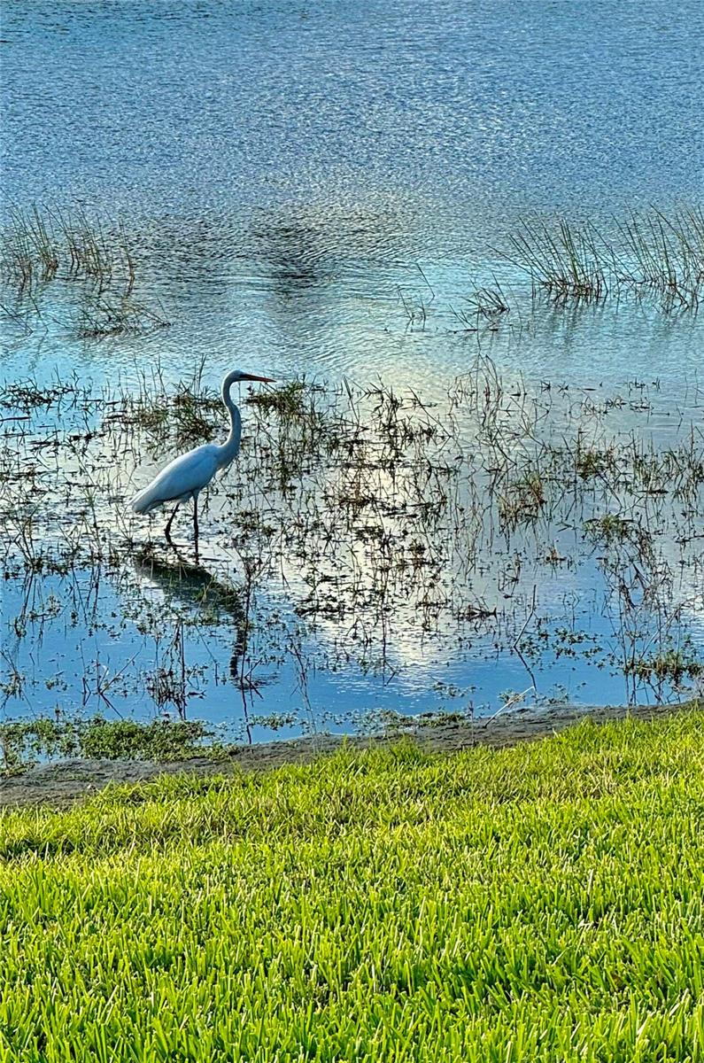 Image 66 of 90 For 24439 Riverfront Drive