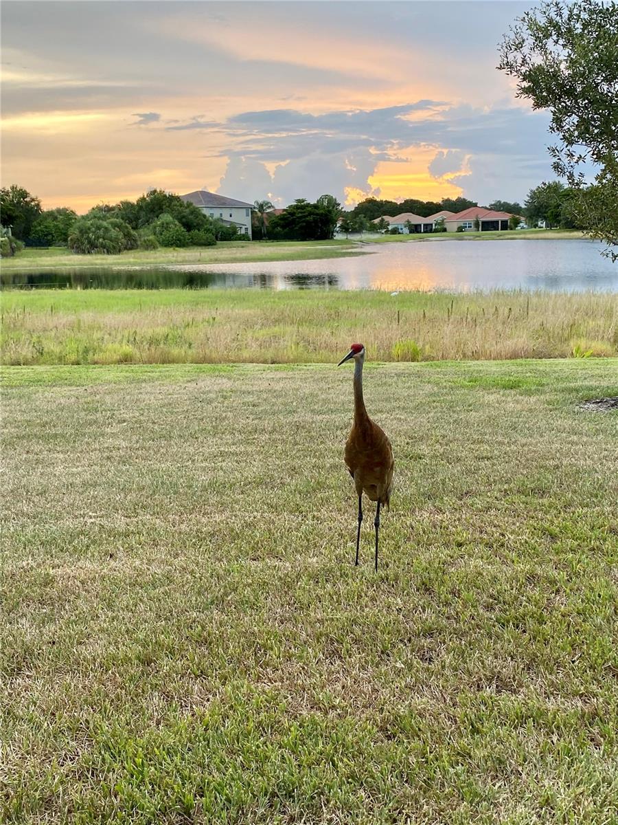 Image 79 of 90 For 24439 Riverfront Drive