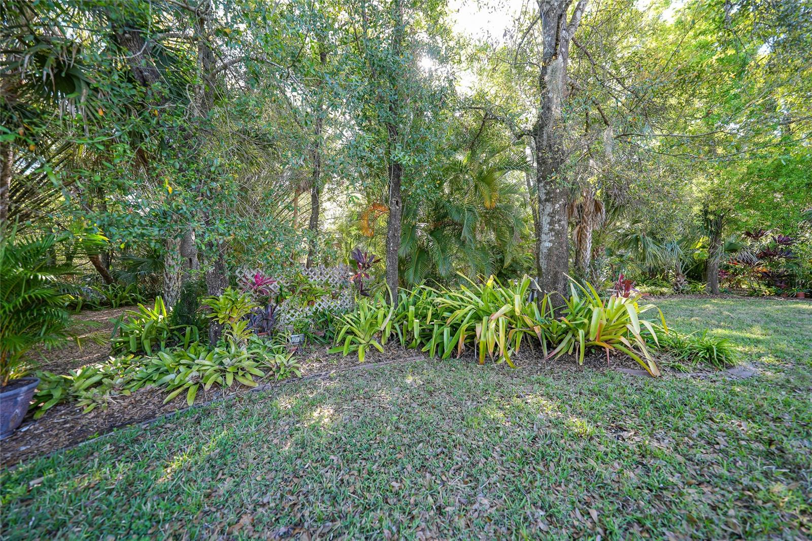 Image 56 of 100 For Address Not Provided