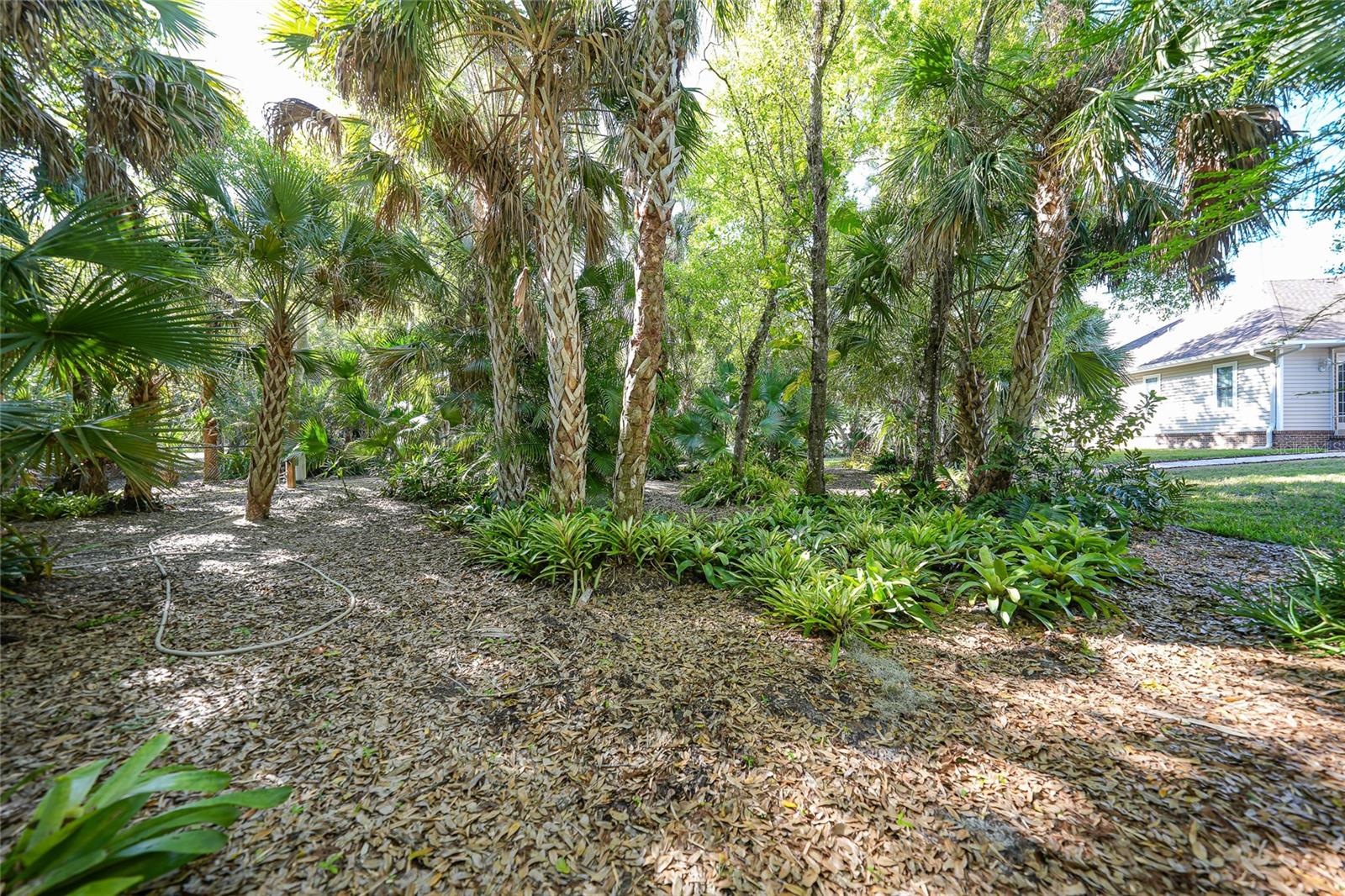 Image 57 of 100 For Address Not Provided