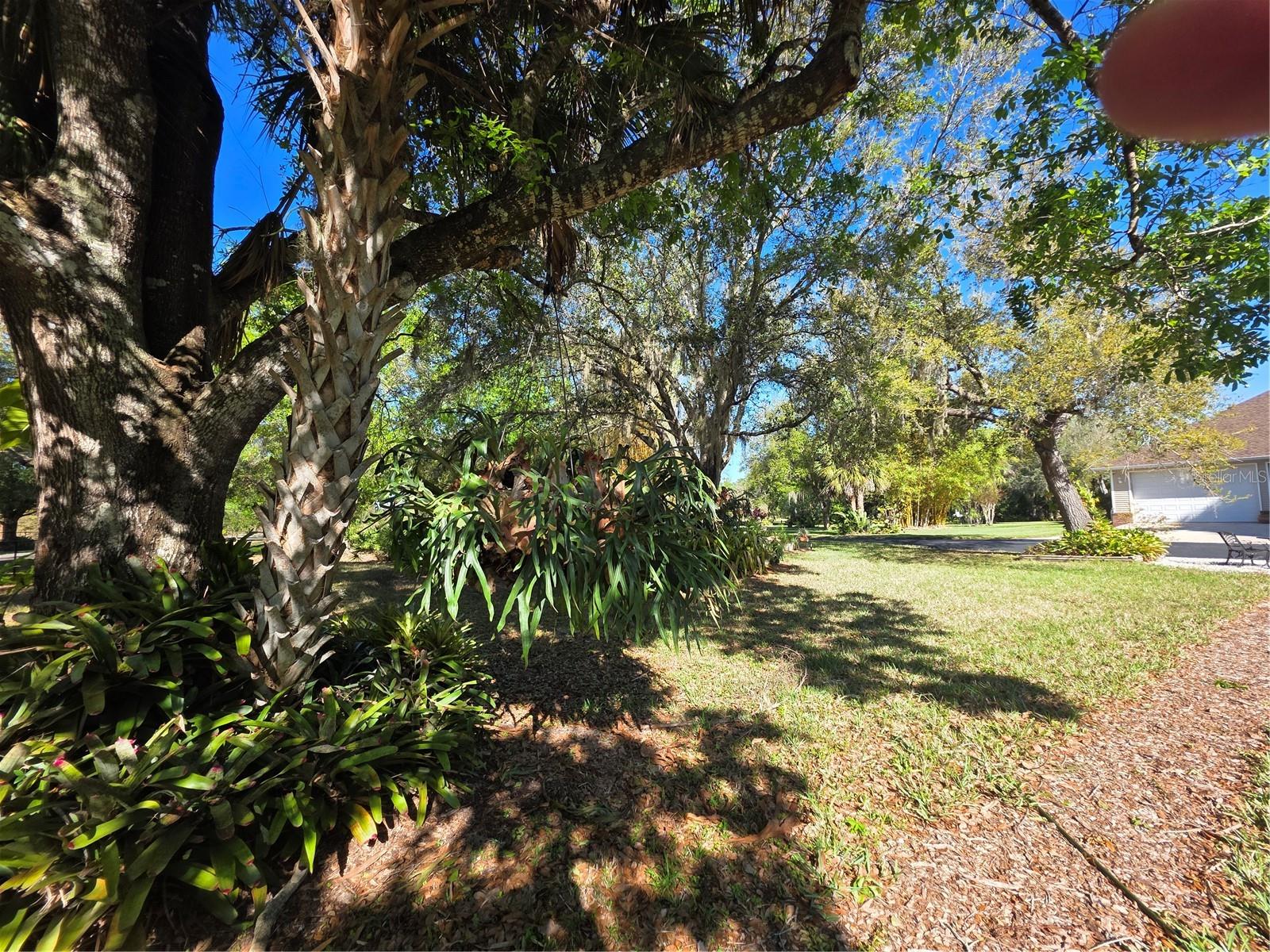 Image 87 of 100 For Address Not Provided