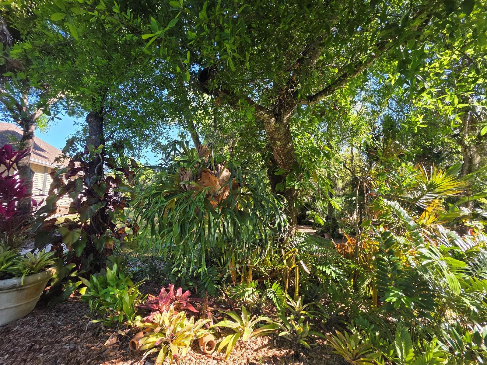 Image 90 of 100 For Address Not Provided