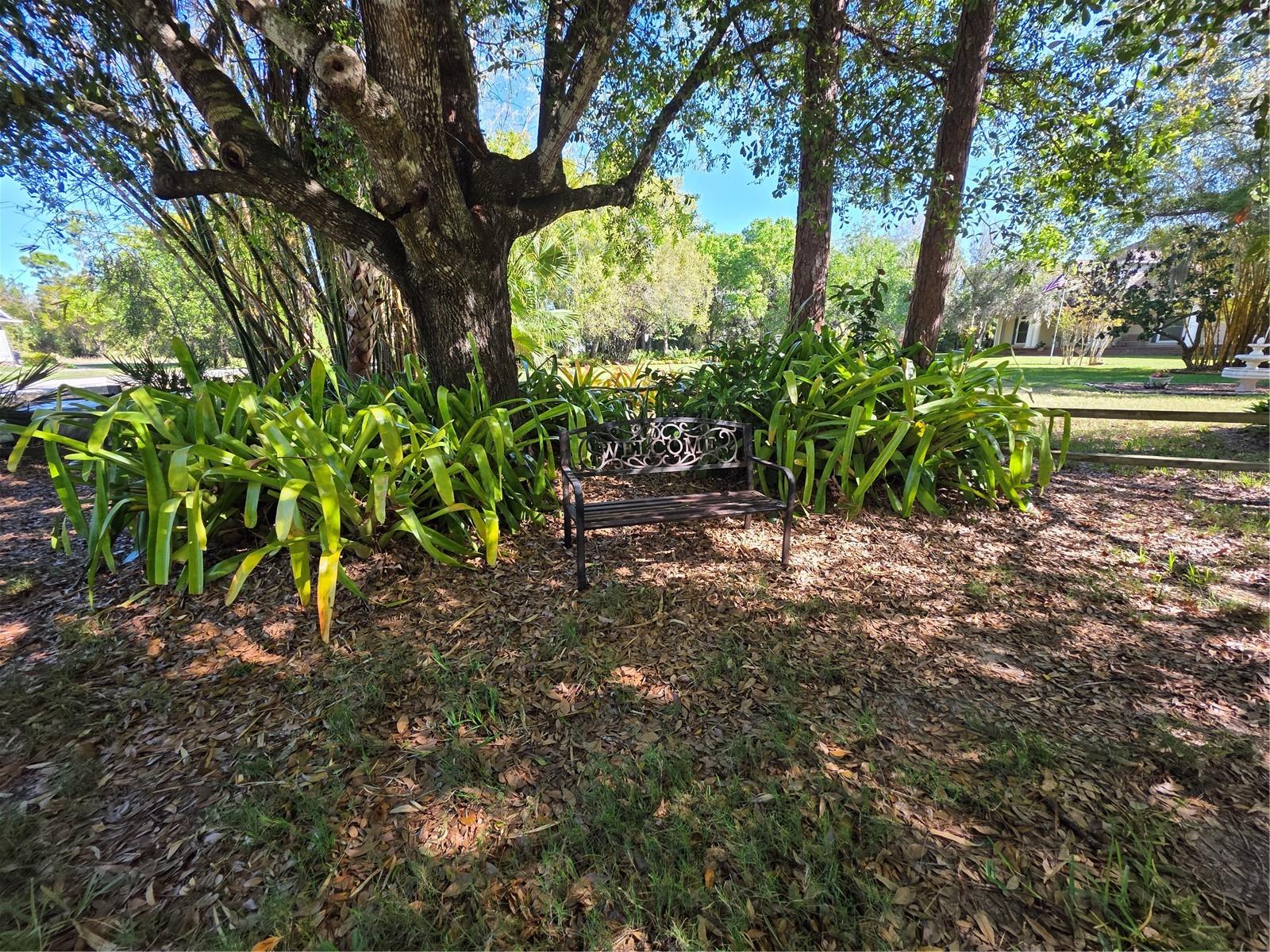 Image 94 of 100 For Address Not Provided