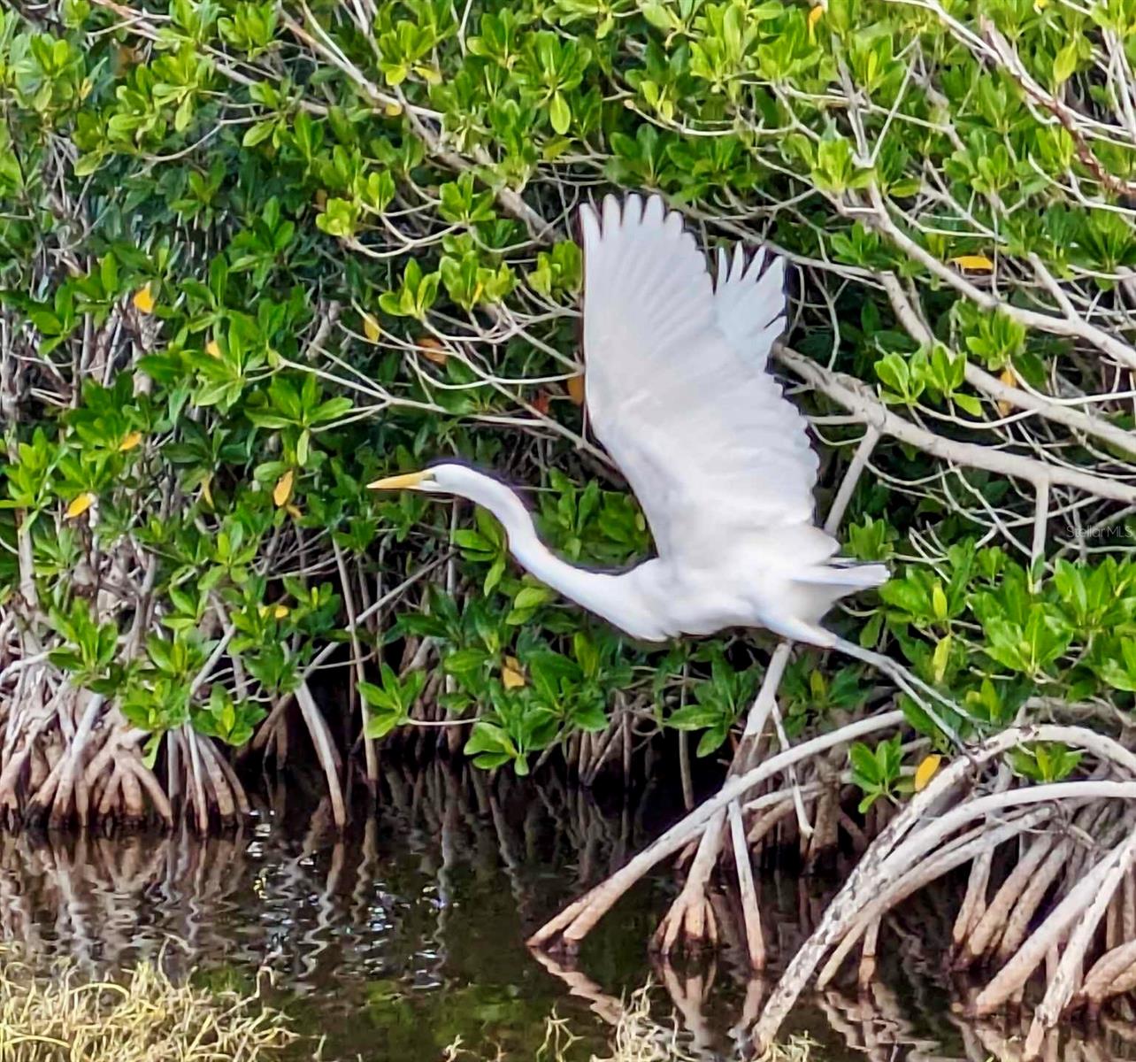 Image 76 of 78 For 4306 3rd Avenue