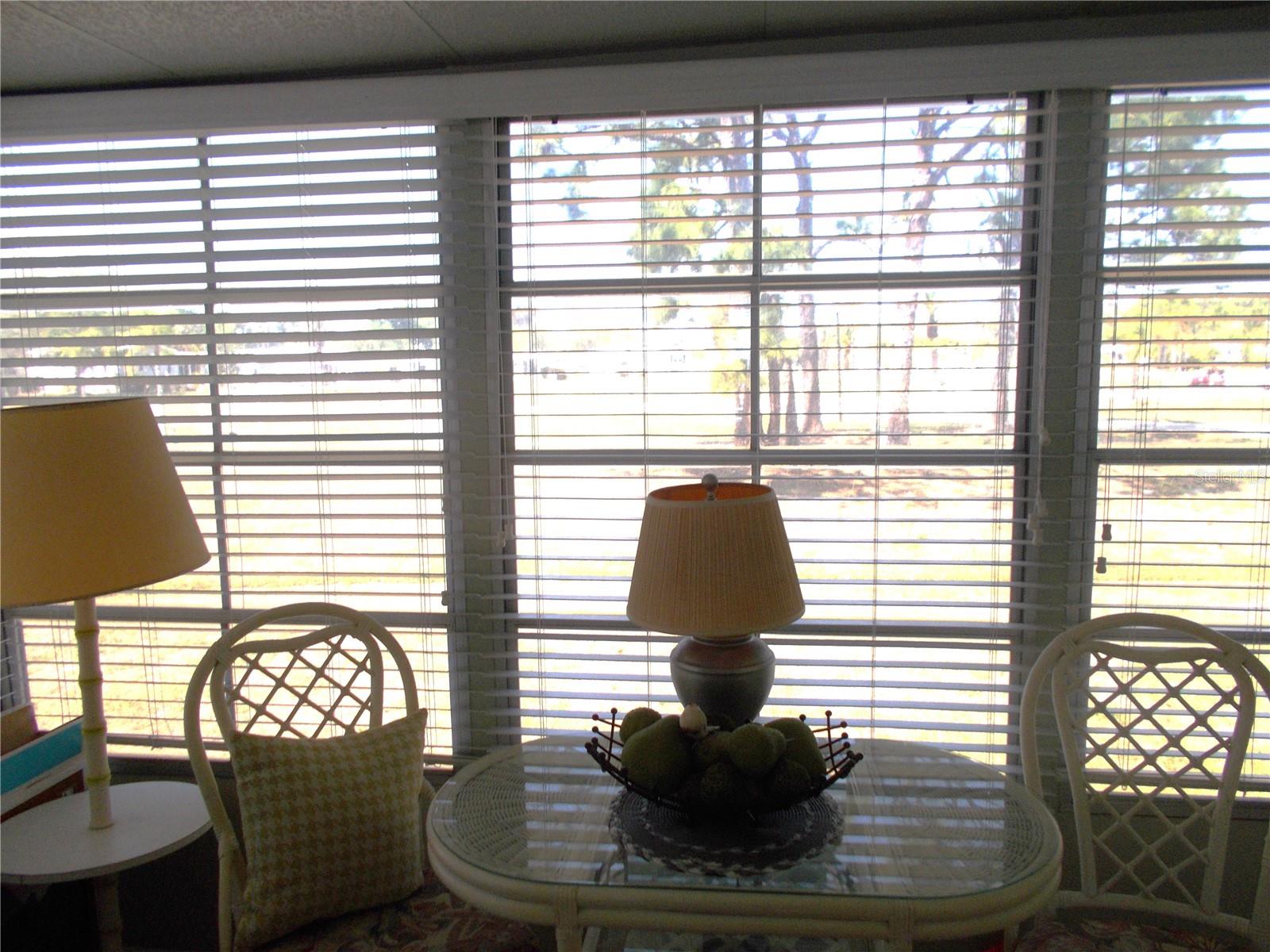 Image 30 of 63 For 5004 Palena Boulevard