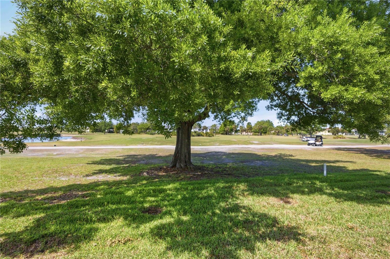 Image 52 of 66 For 1549 Navigator Road