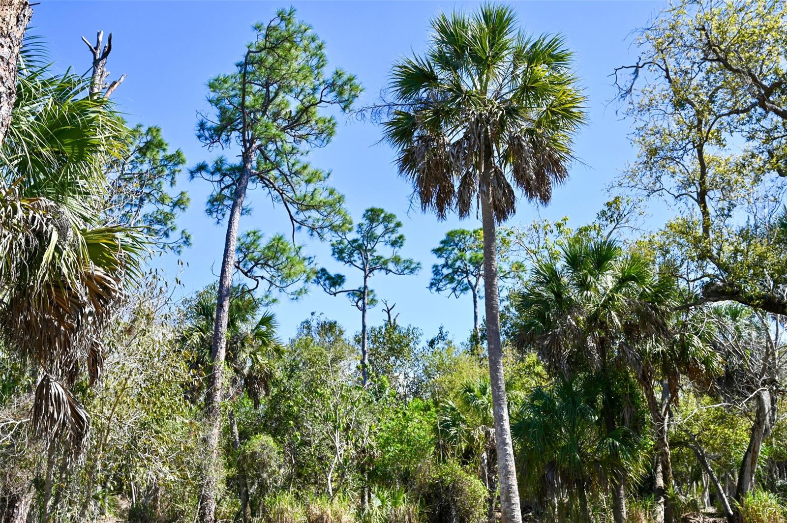 Image 10 of 26 For 22901 Bayshore Road