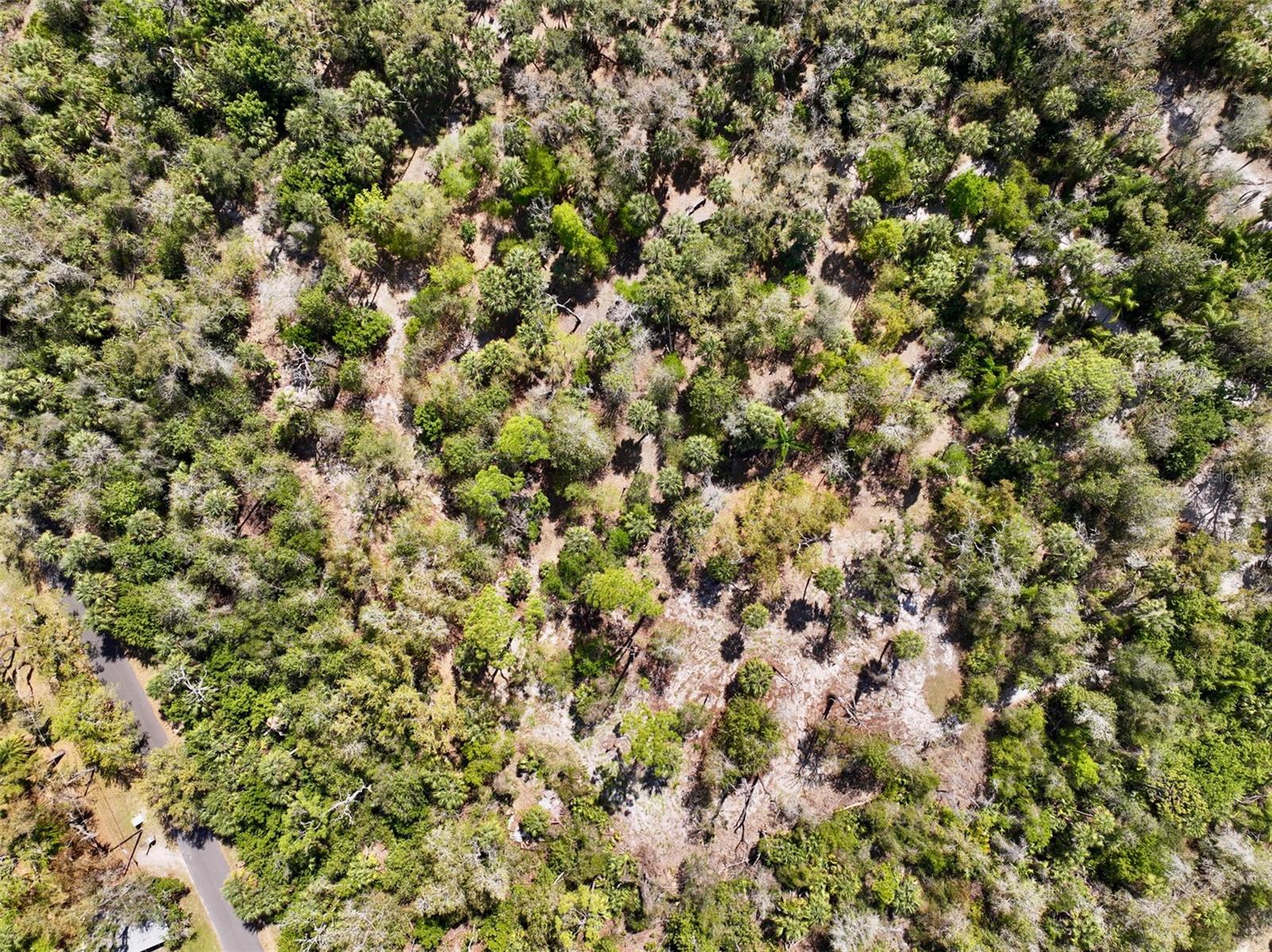 Image 11 of 26 For 22901 Bayshore Road