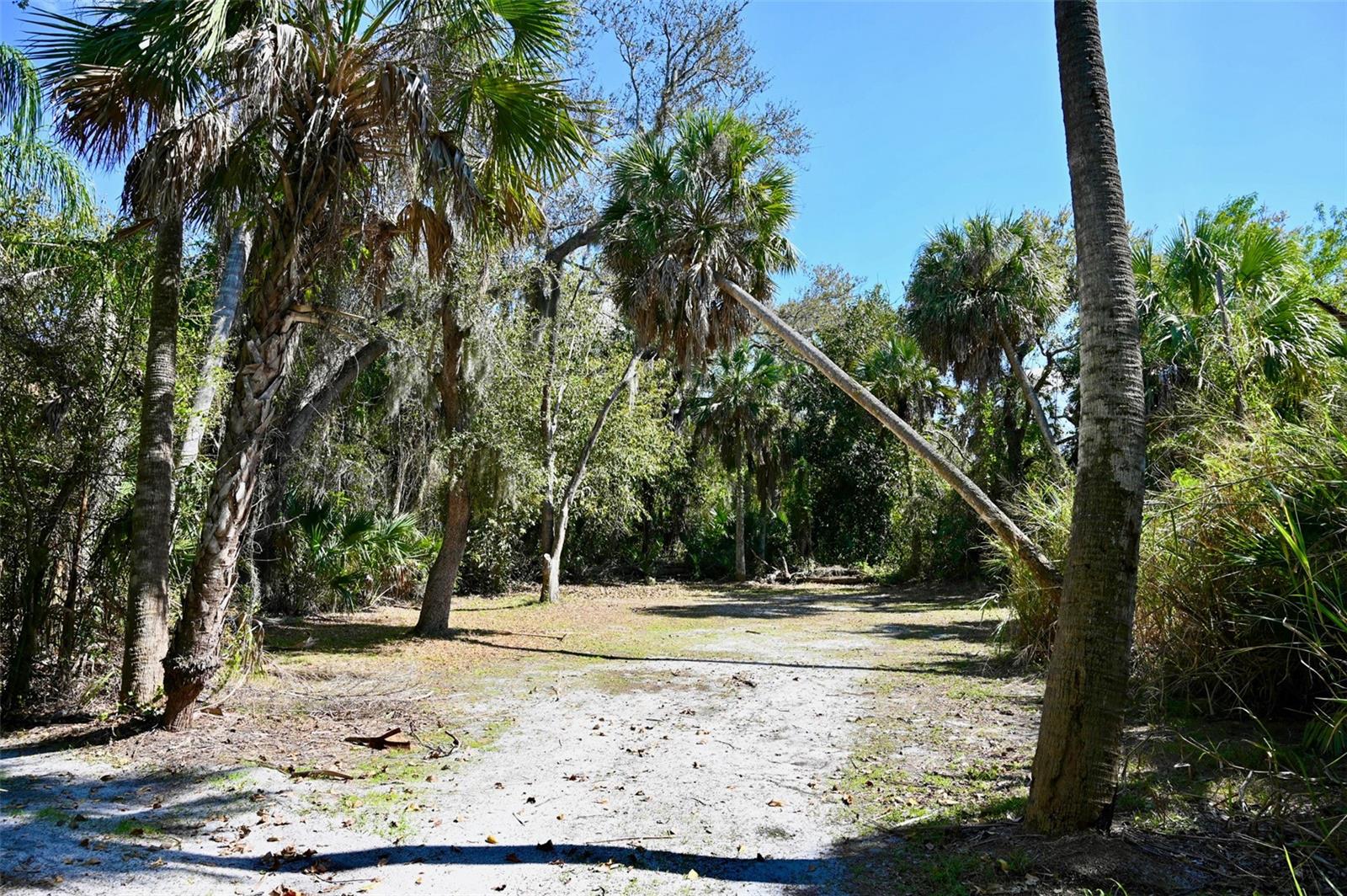 Image 13 of 26 For 22901 Bayshore Road