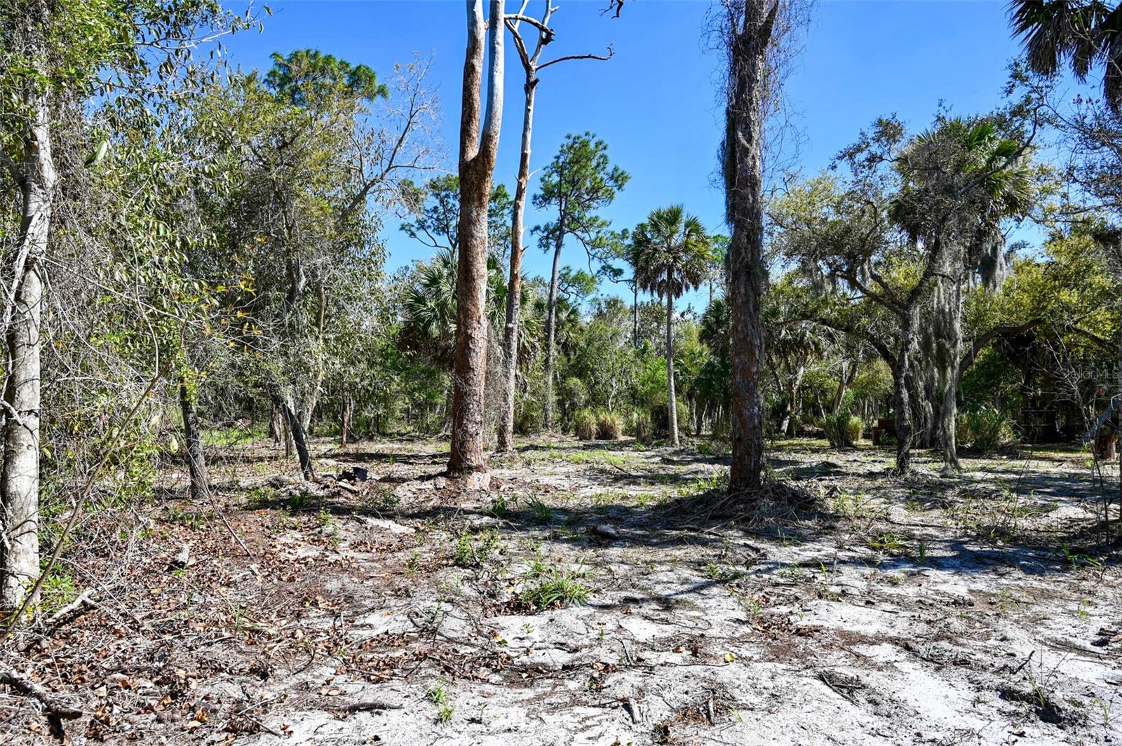 Image 15 of 26 For 22901 Bayshore Road