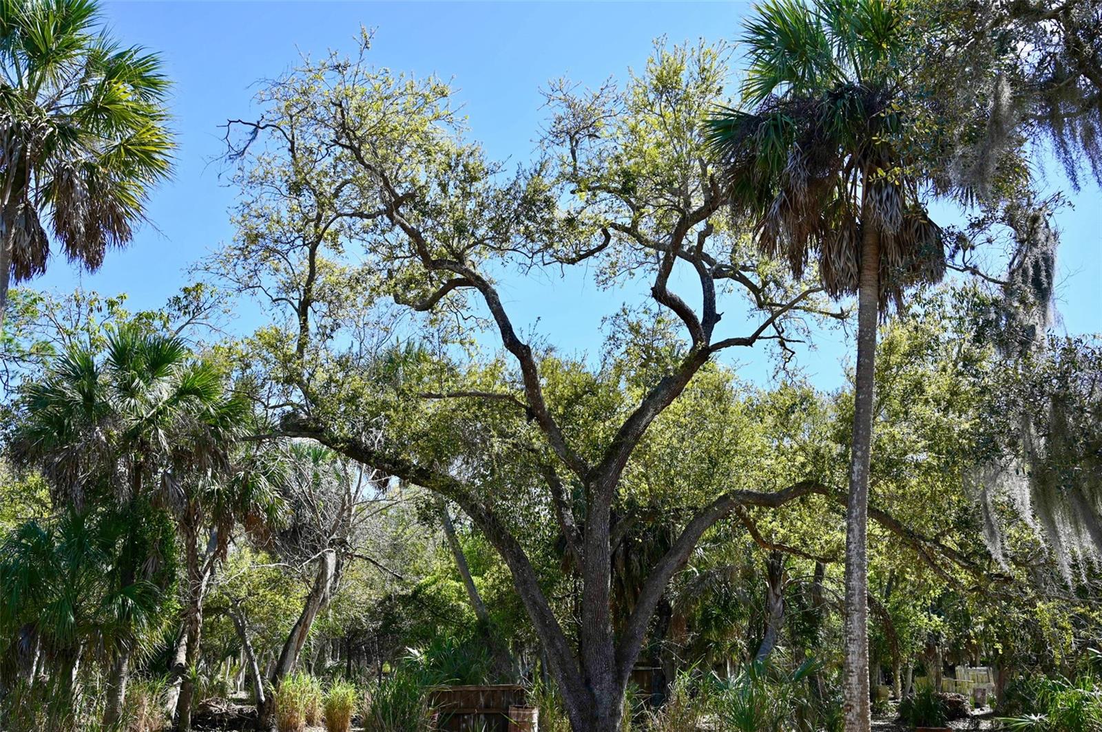 Image 16 of 26 For 22901 Bayshore Road