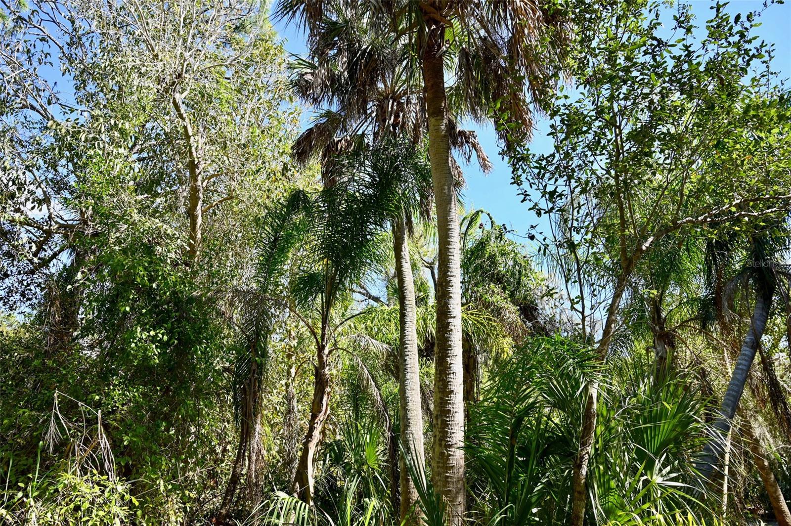 Image 4 of 26 For 22901 Bayshore Road