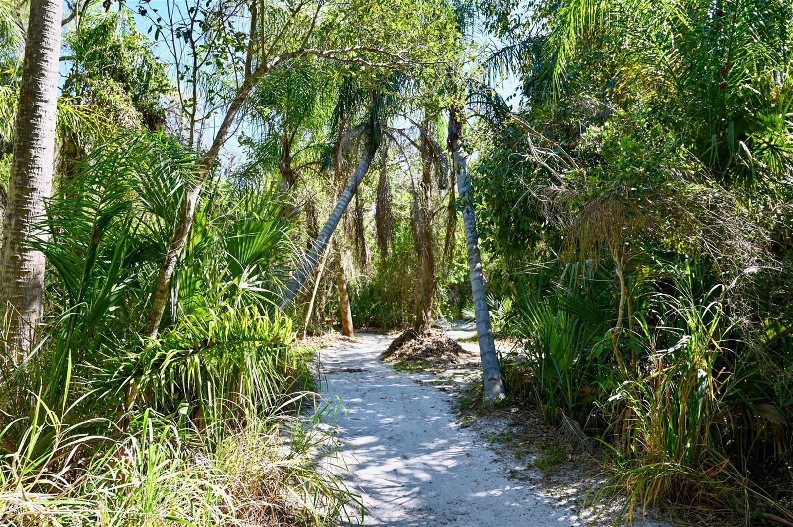 Image 6 of 26 For 22901 Bayshore Road