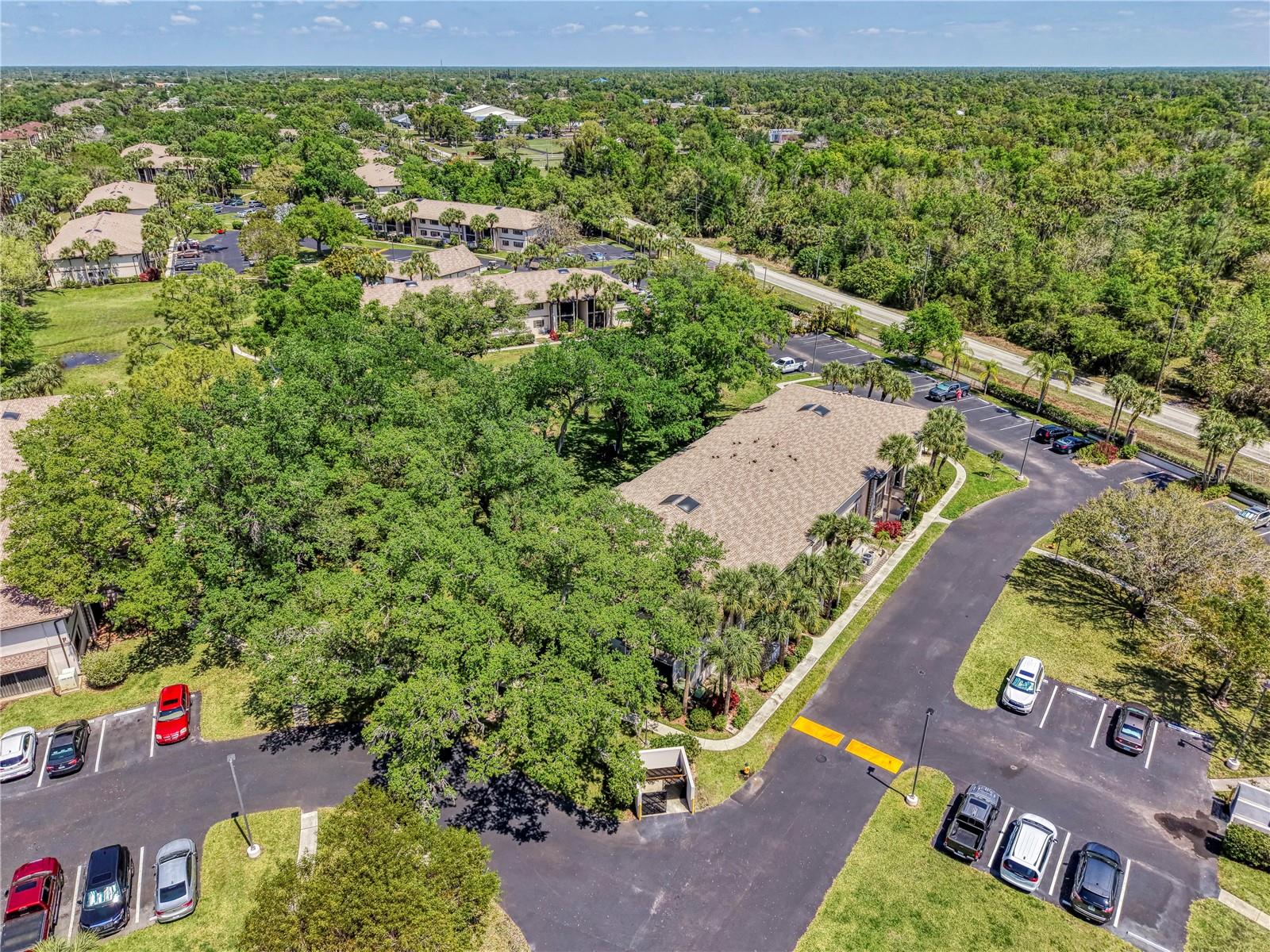 Image 48 of 64 For 1515 Forrest Nelson Boulevard G104