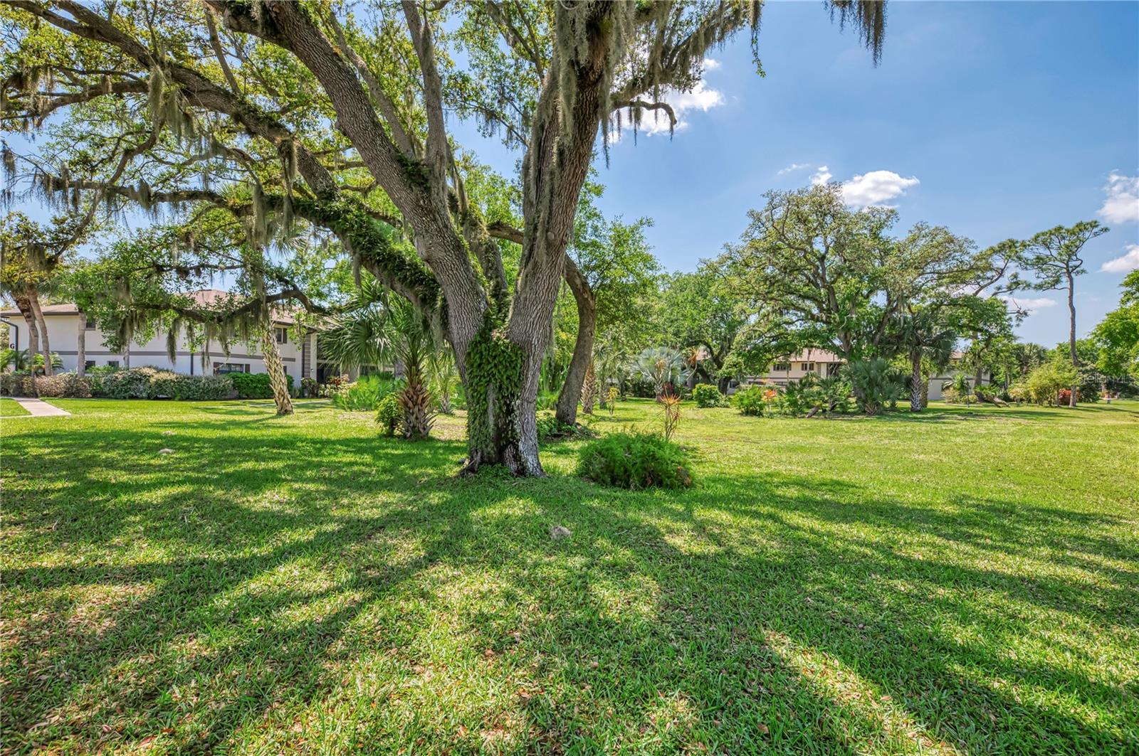 Image 52 of 64 For 1515 Forrest Nelson Boulevard G104