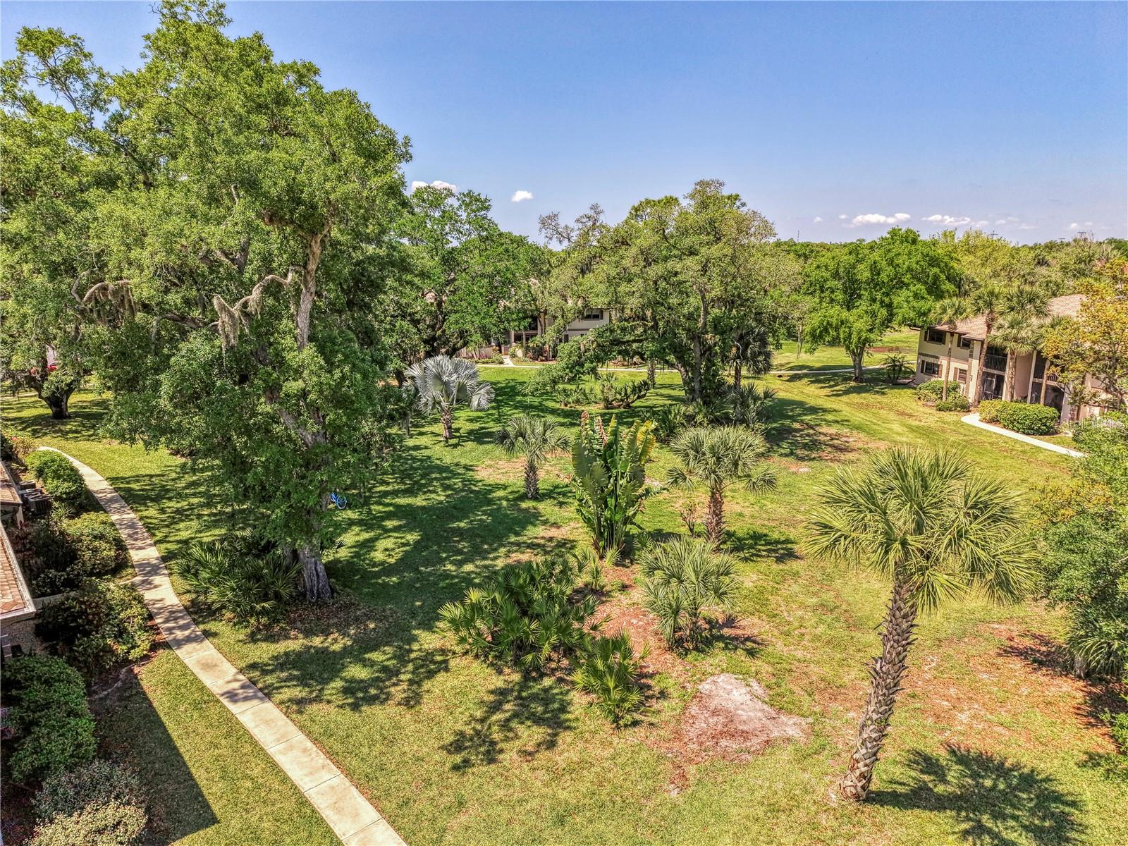 Image 59 of 64 For 1515 Forrest Nelson Boulevard G104