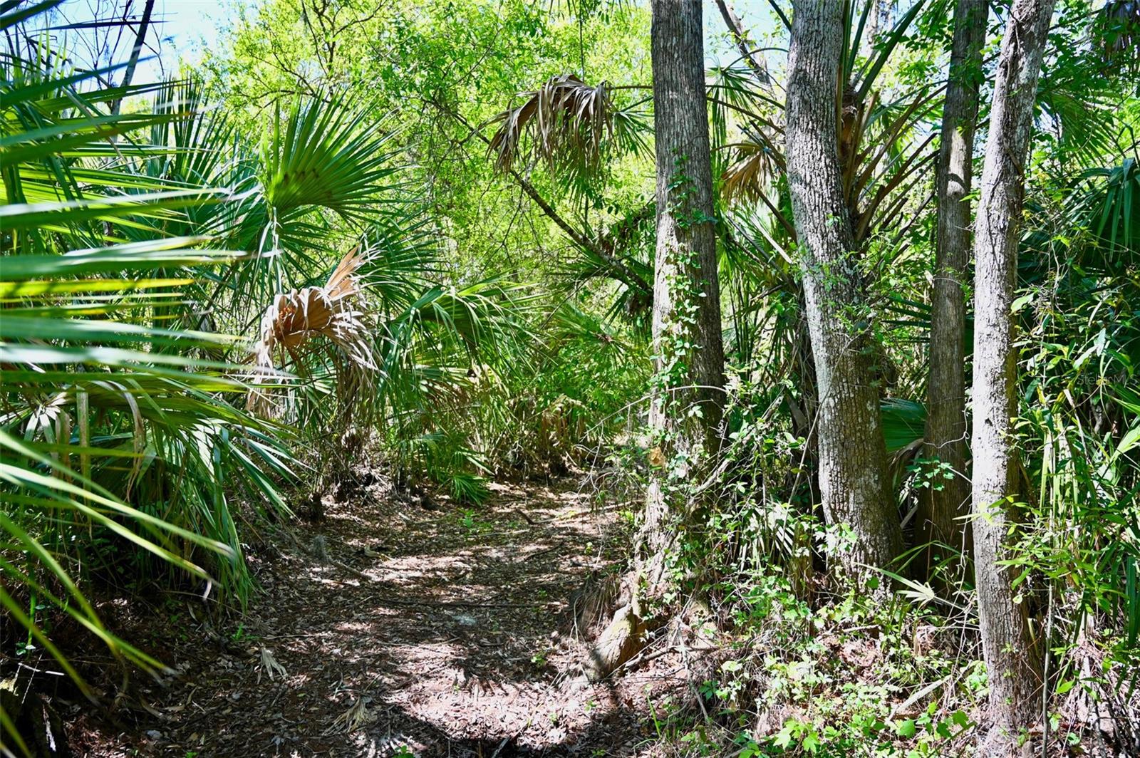 Image 12 of 34 For 3832 Wildcat Run Road