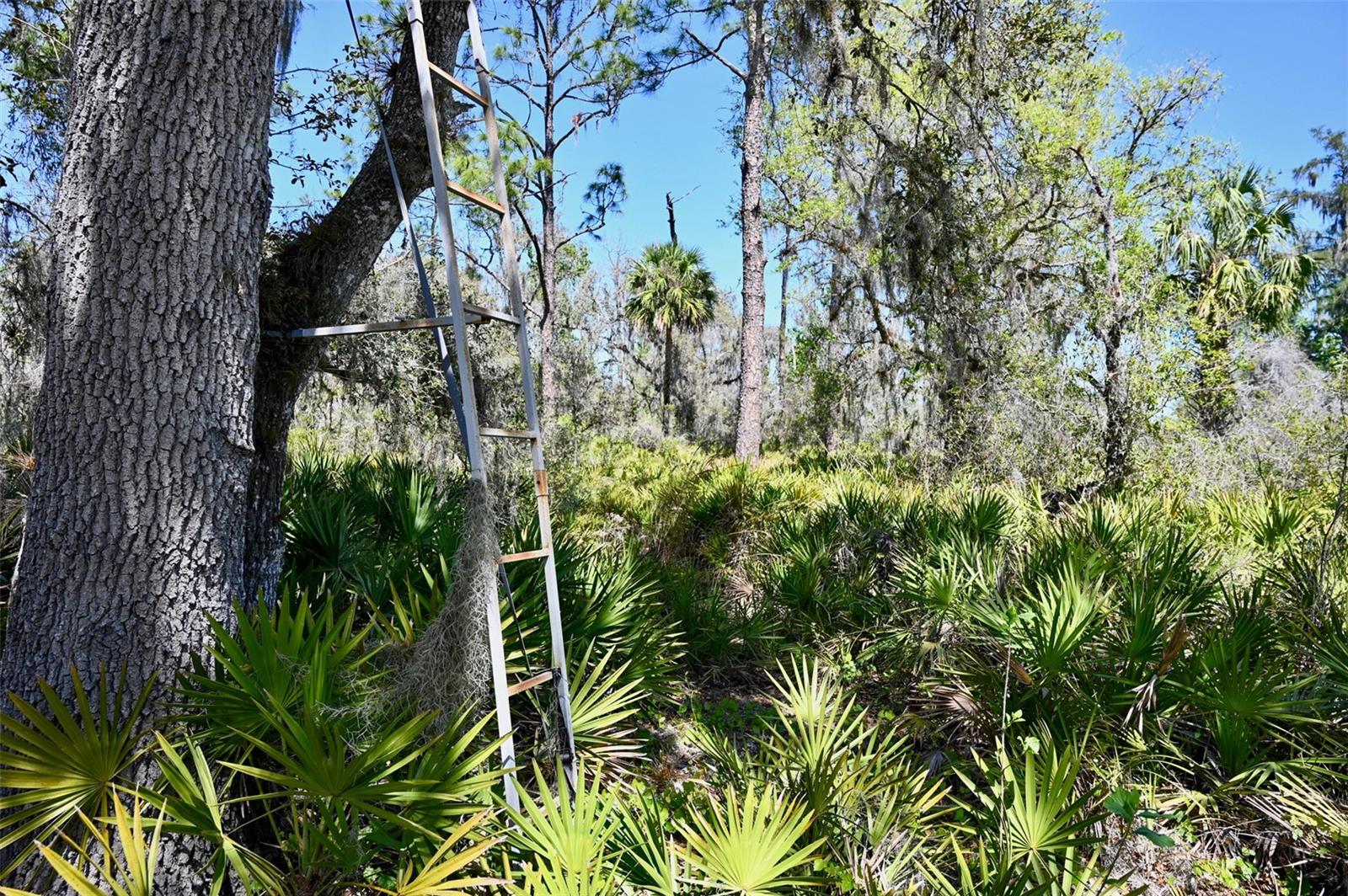 Image 16 of 34 For 3832 Wildcat Run Road