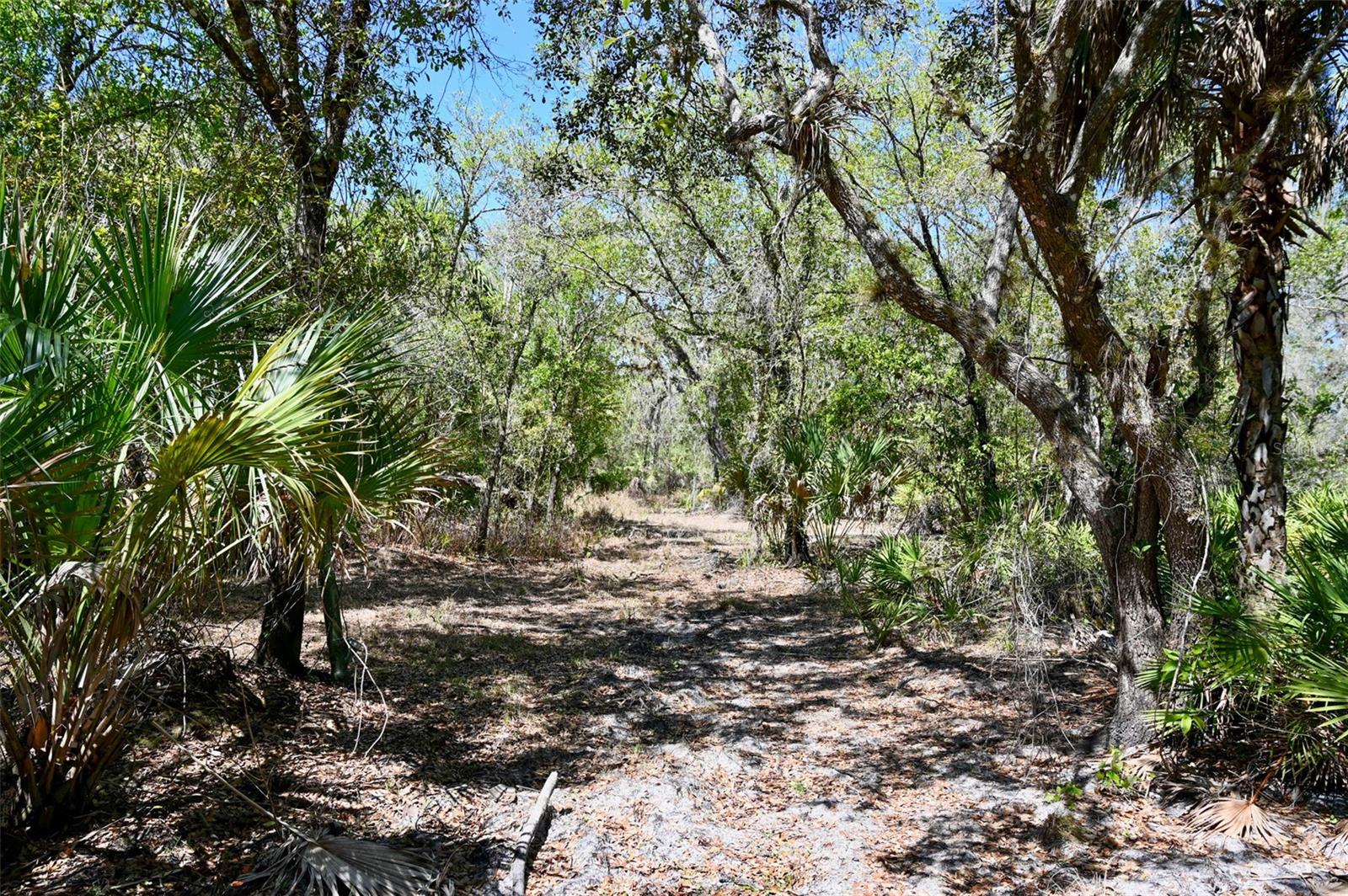 Image 18 of 34 For 3832 Wildcat Run Road