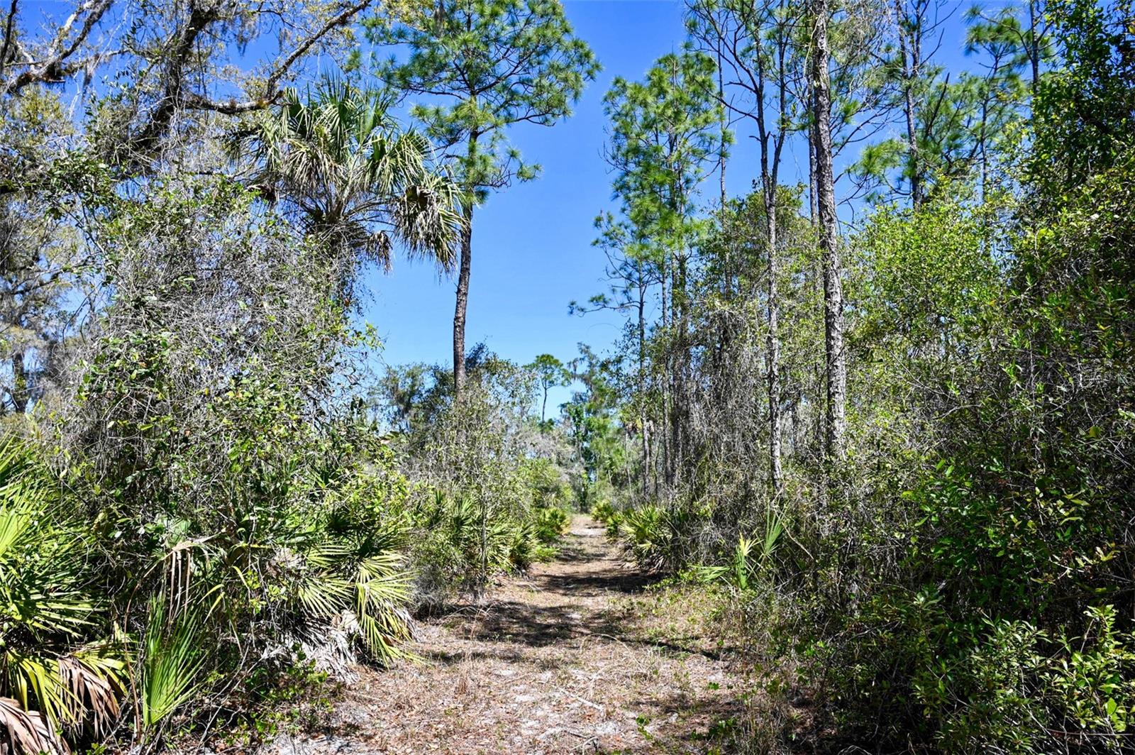 Image 2 of 34 For 3832 Wildcat Run Road