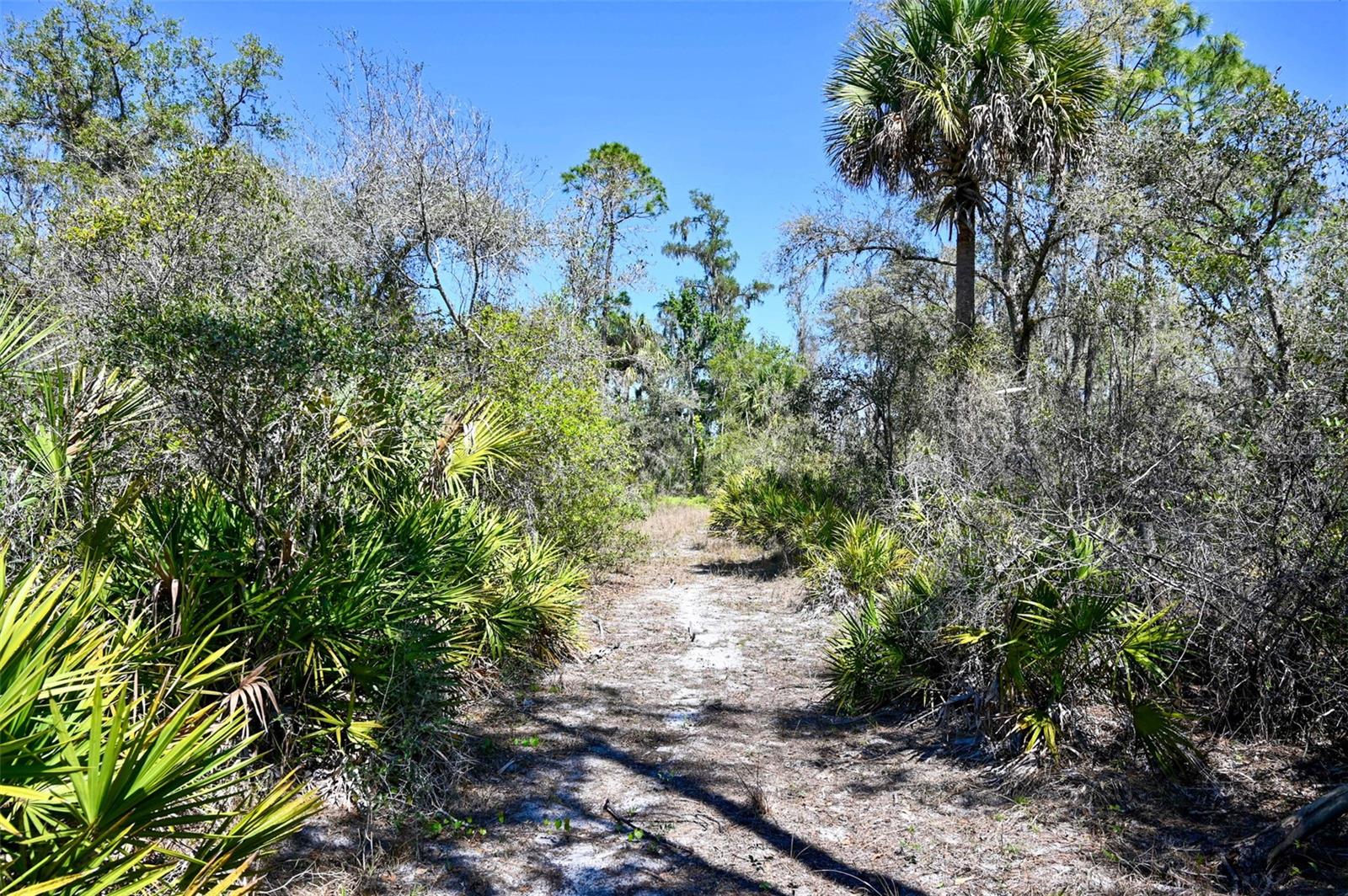 Image 20 of 34 For 3832 Wildcat Run Road