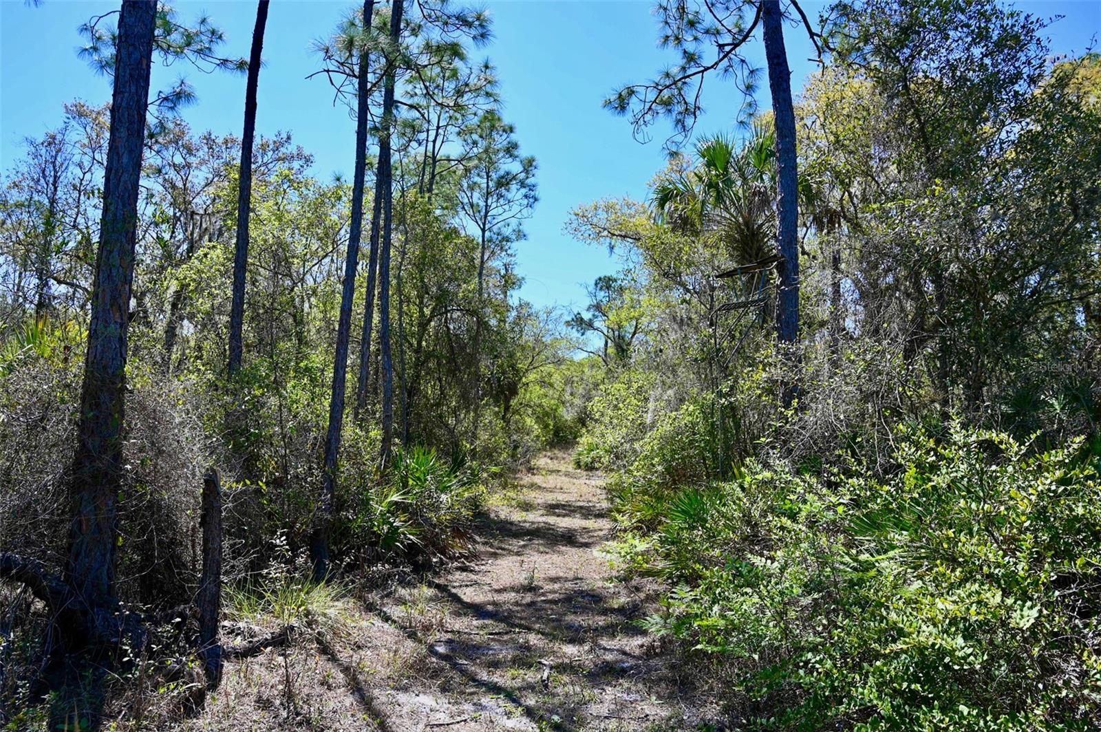 Image 25 of 34 For 3832 Wildcat Run Road