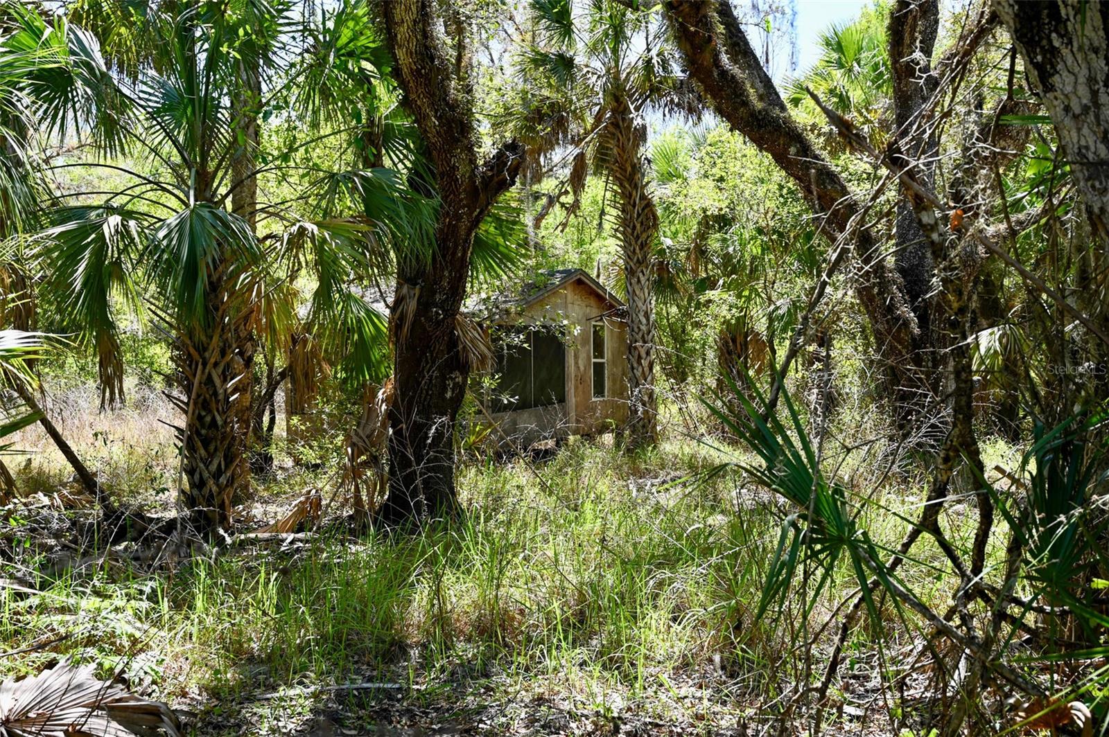 Image 28 of 34 For 3832 Wildcat Run Road