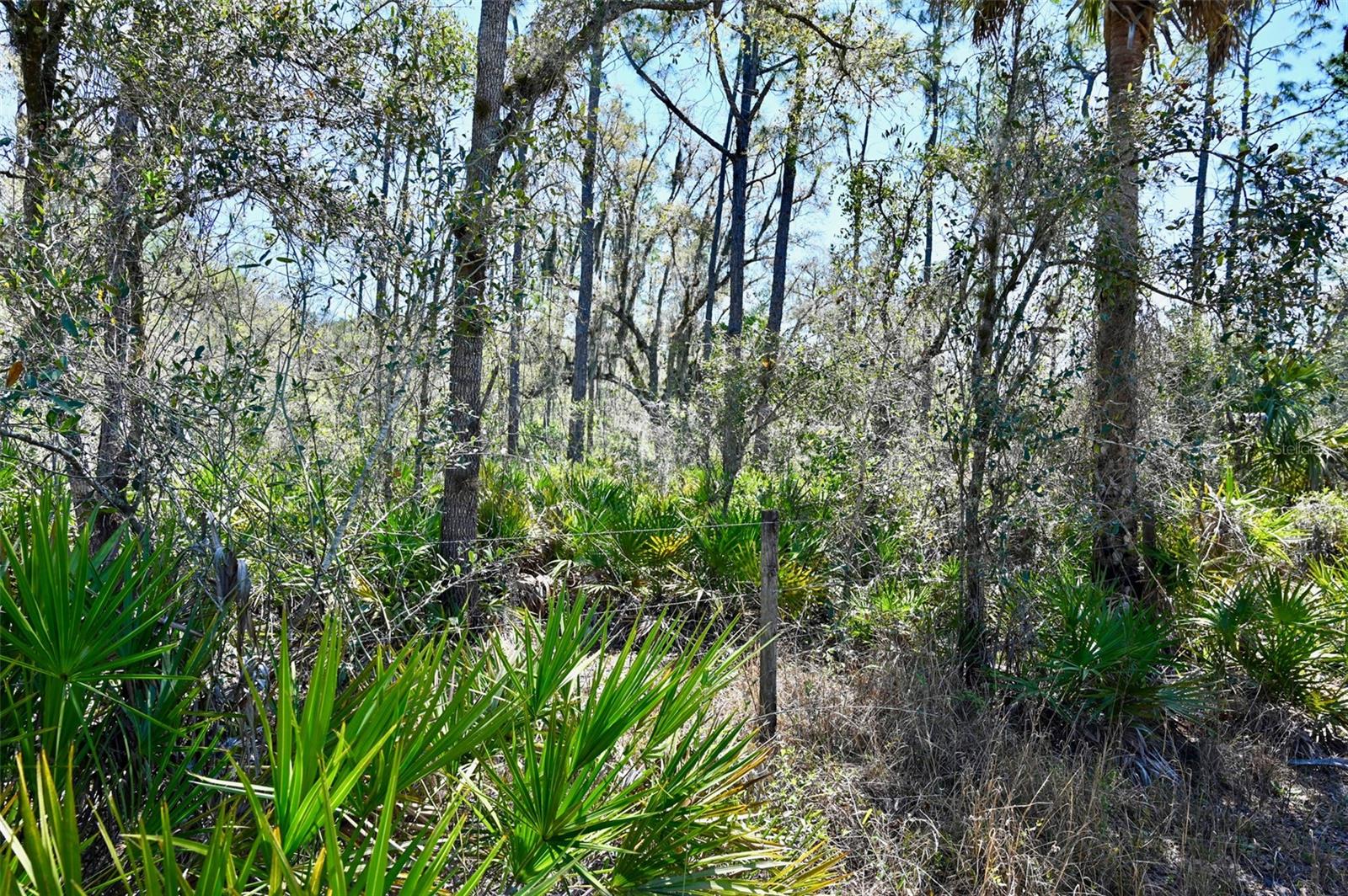 Image 29 of 34 For 3832 Wildcat Run Road