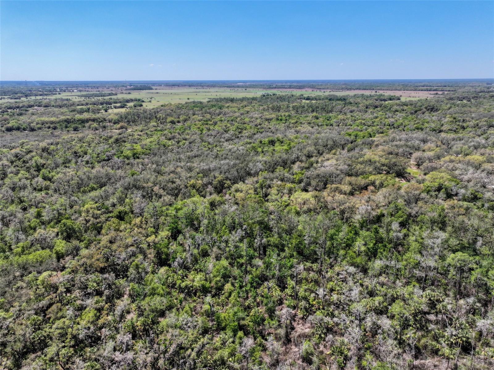 Image 32 of 34 For 3832 Wildcat Run Road