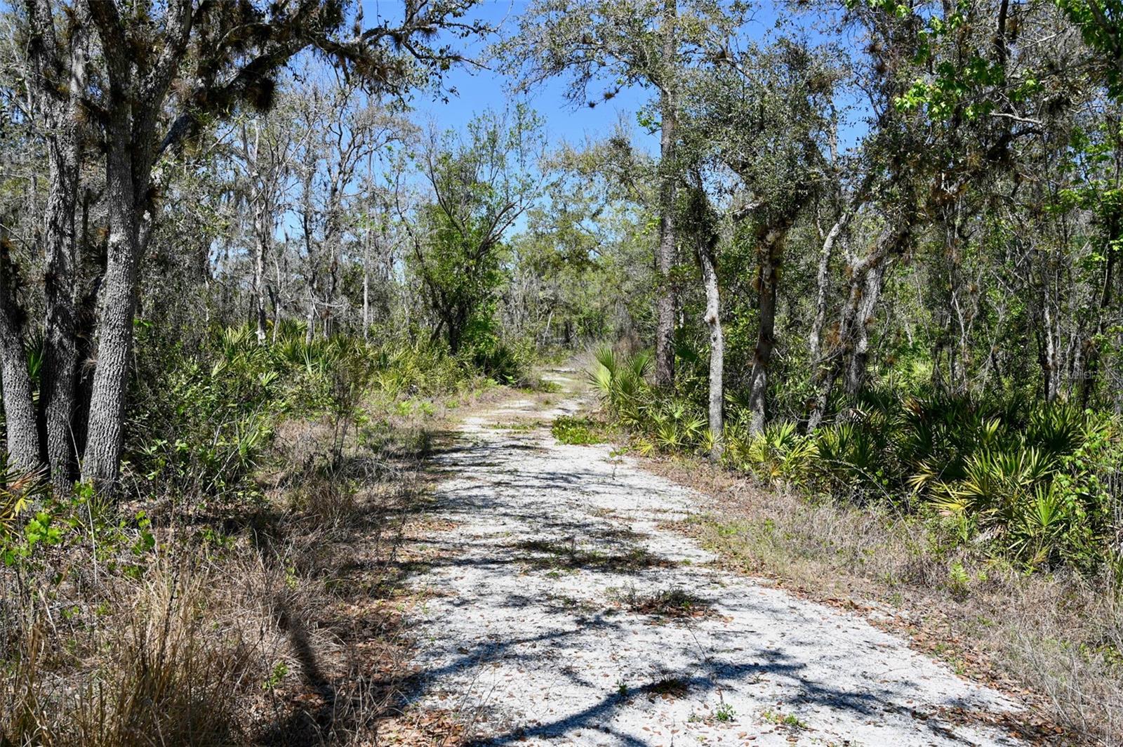 Image 33 of 34 For 3832 Wildcat Run Road