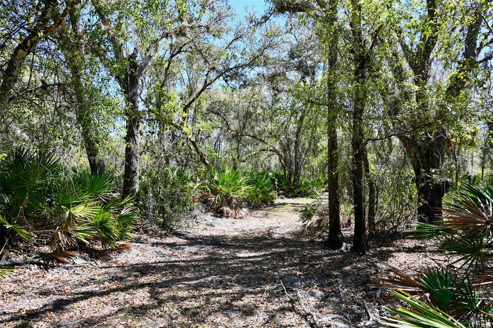 Image 4 of 34 For 3832 Wildcat Run Road