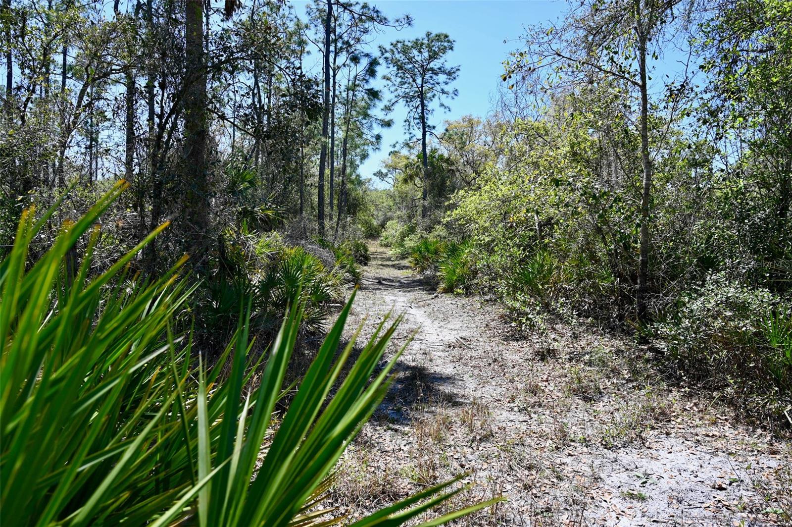 Image 7 of 34 For 3832 Wildcat Run Road