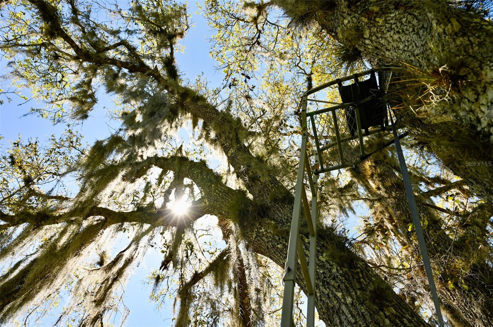 Image 8 of 34 For 3832 Wildcat Run Road