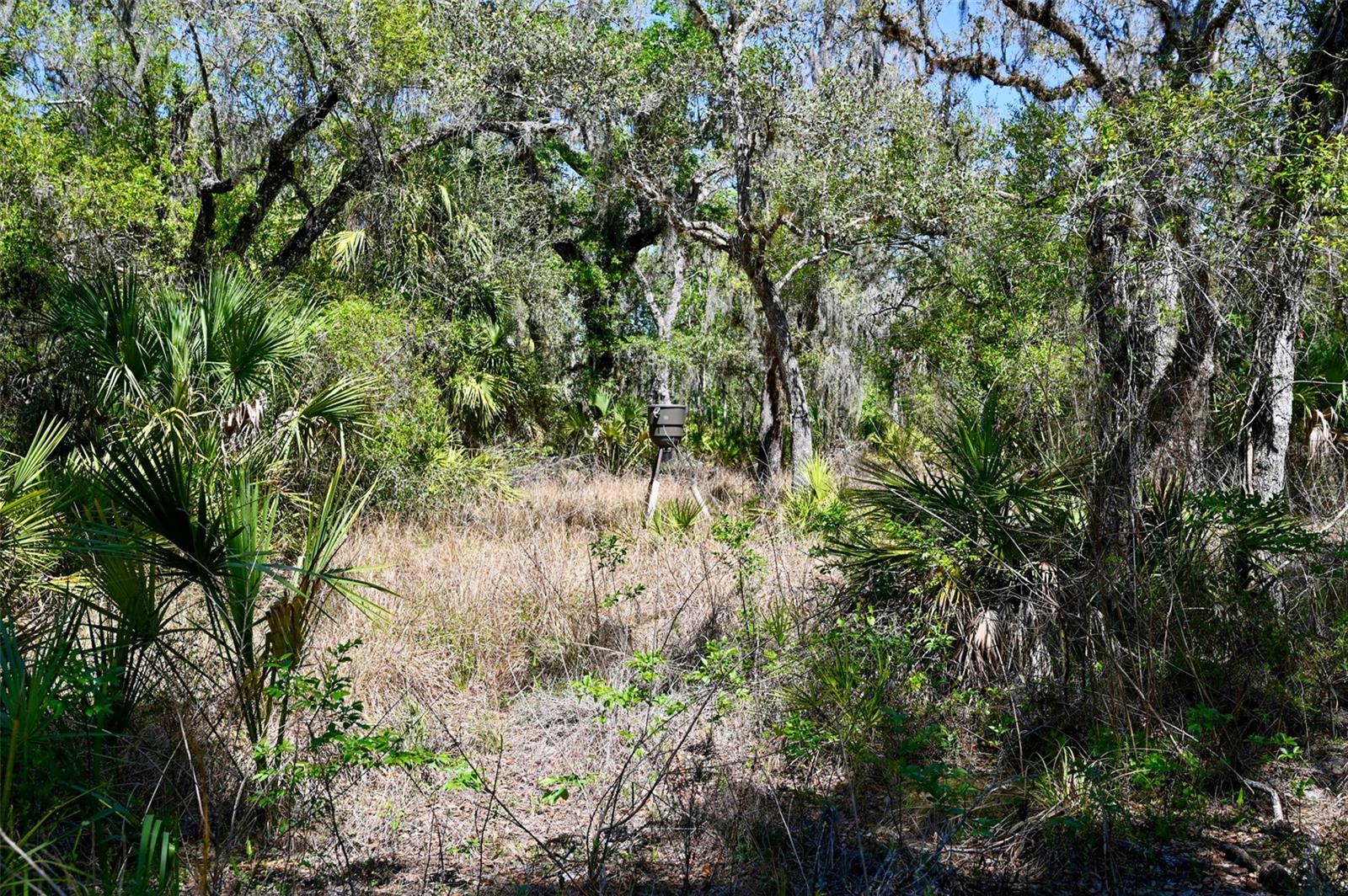 Image 9 of 34 For 3832 Wildcat Run Road