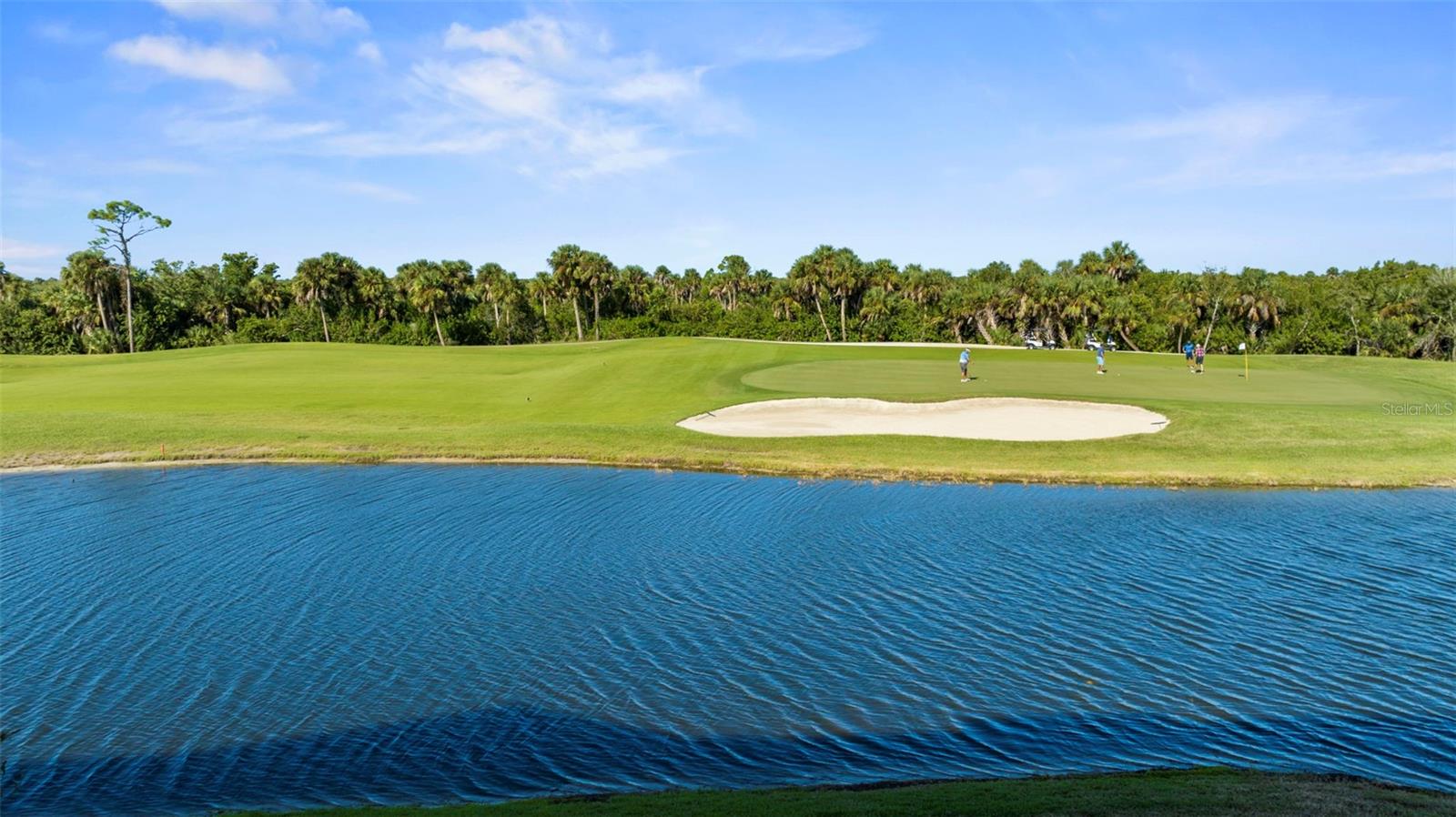 Image 45 of 67 For 14009 Black Beauty Drive 212