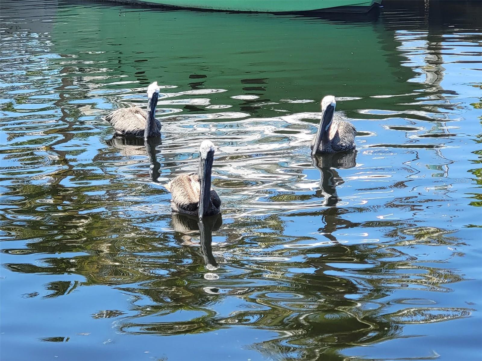 Image 78 of 82 For 4638 Vinsetta Avenue