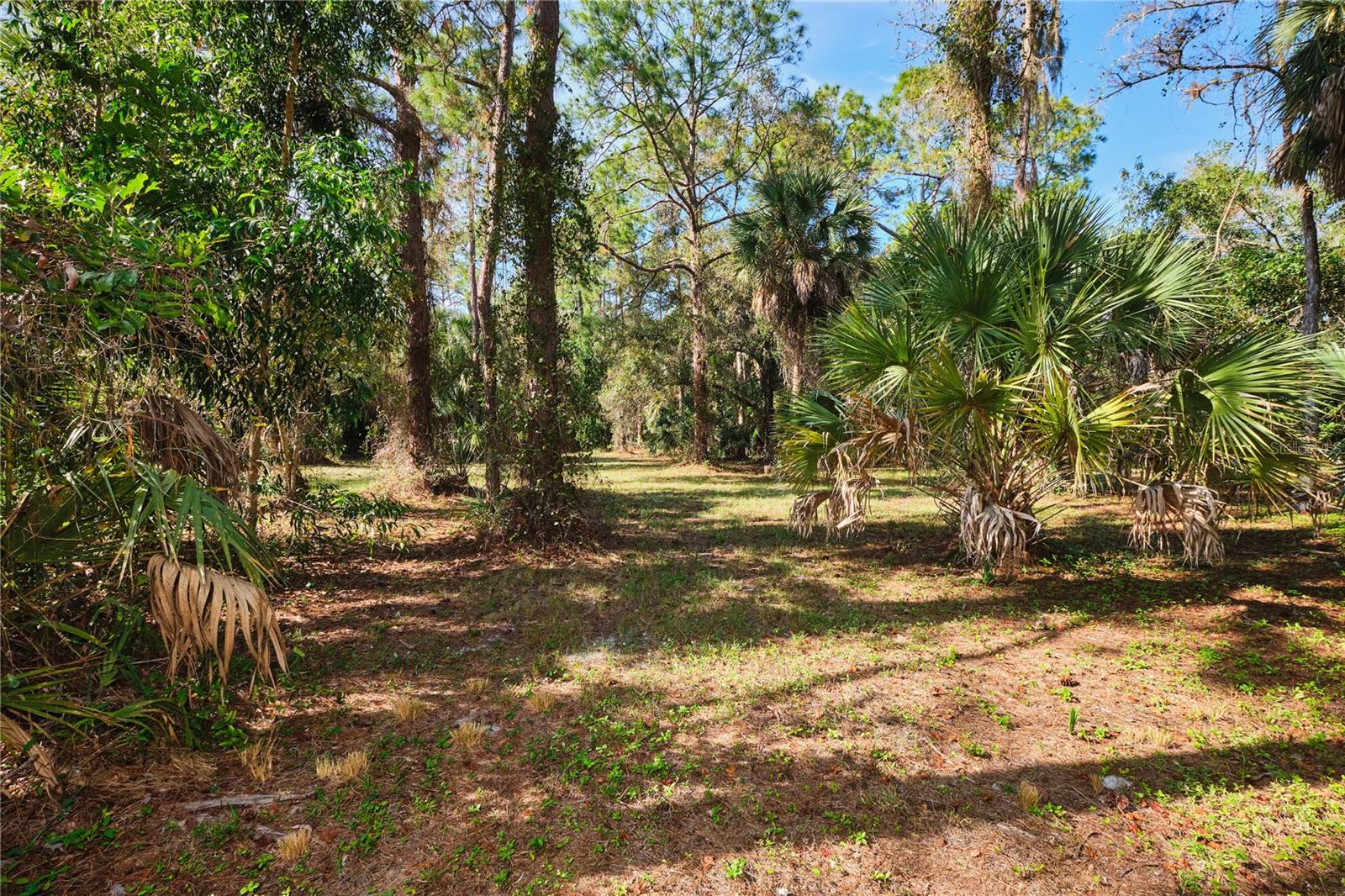 Listing photo id 49 for 221 18th Avenue Nw