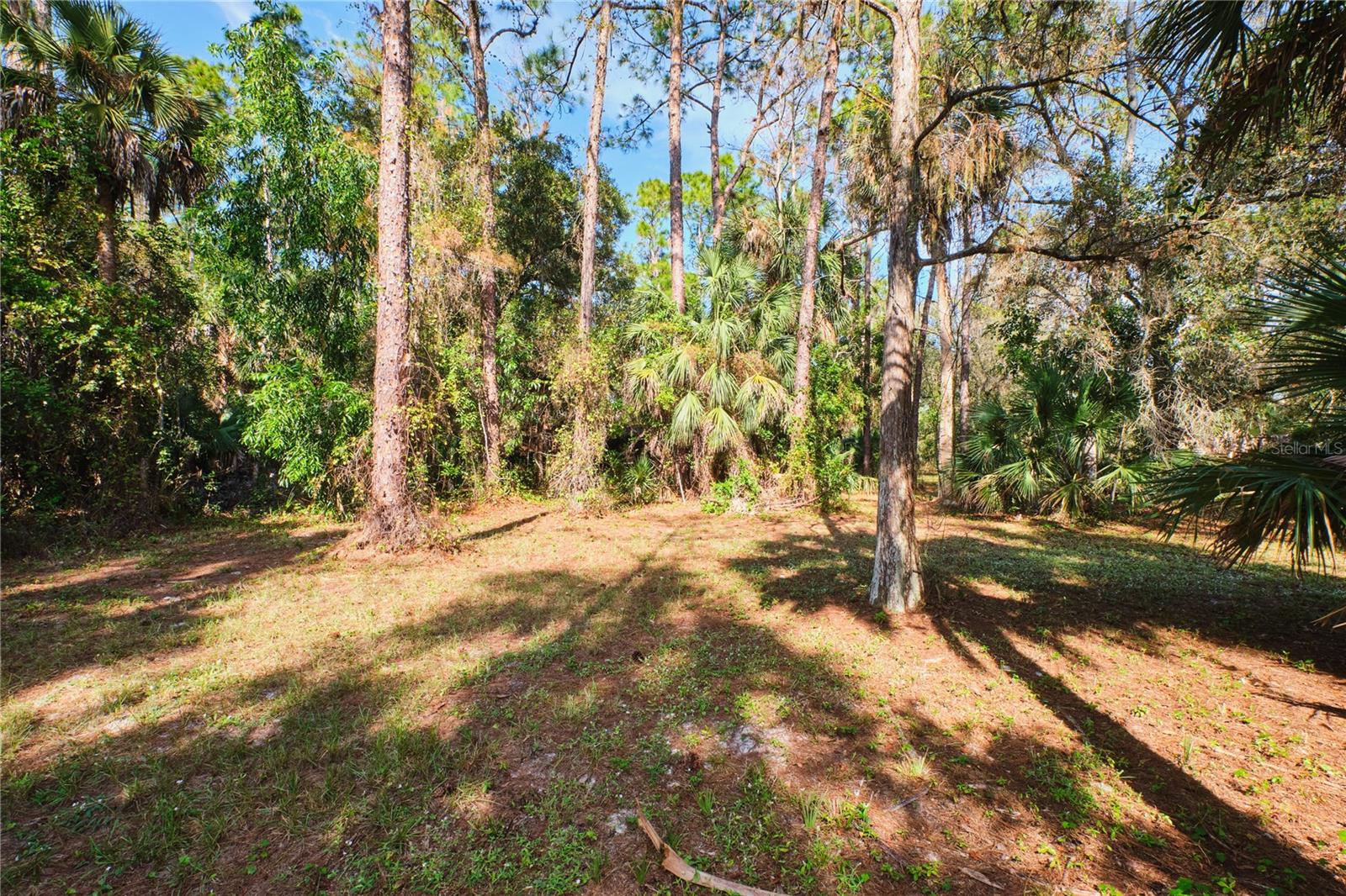 Listing photo id 53 for 221 18th Avenue Nw