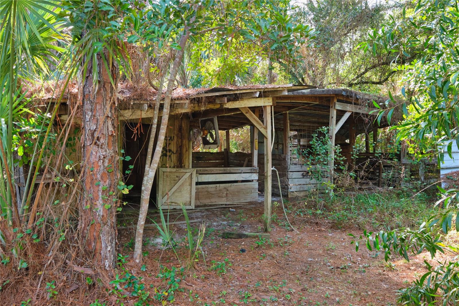 Listing photo id 56 for 221 18th Avenue Nw