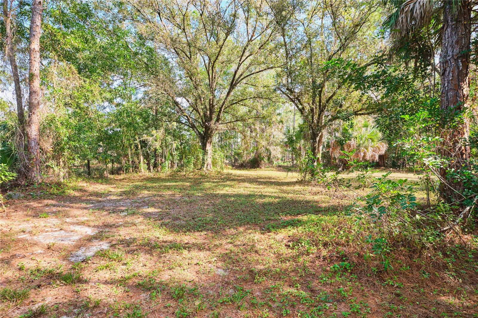 Listing photo id 58 for 221 18th Avenue Nw