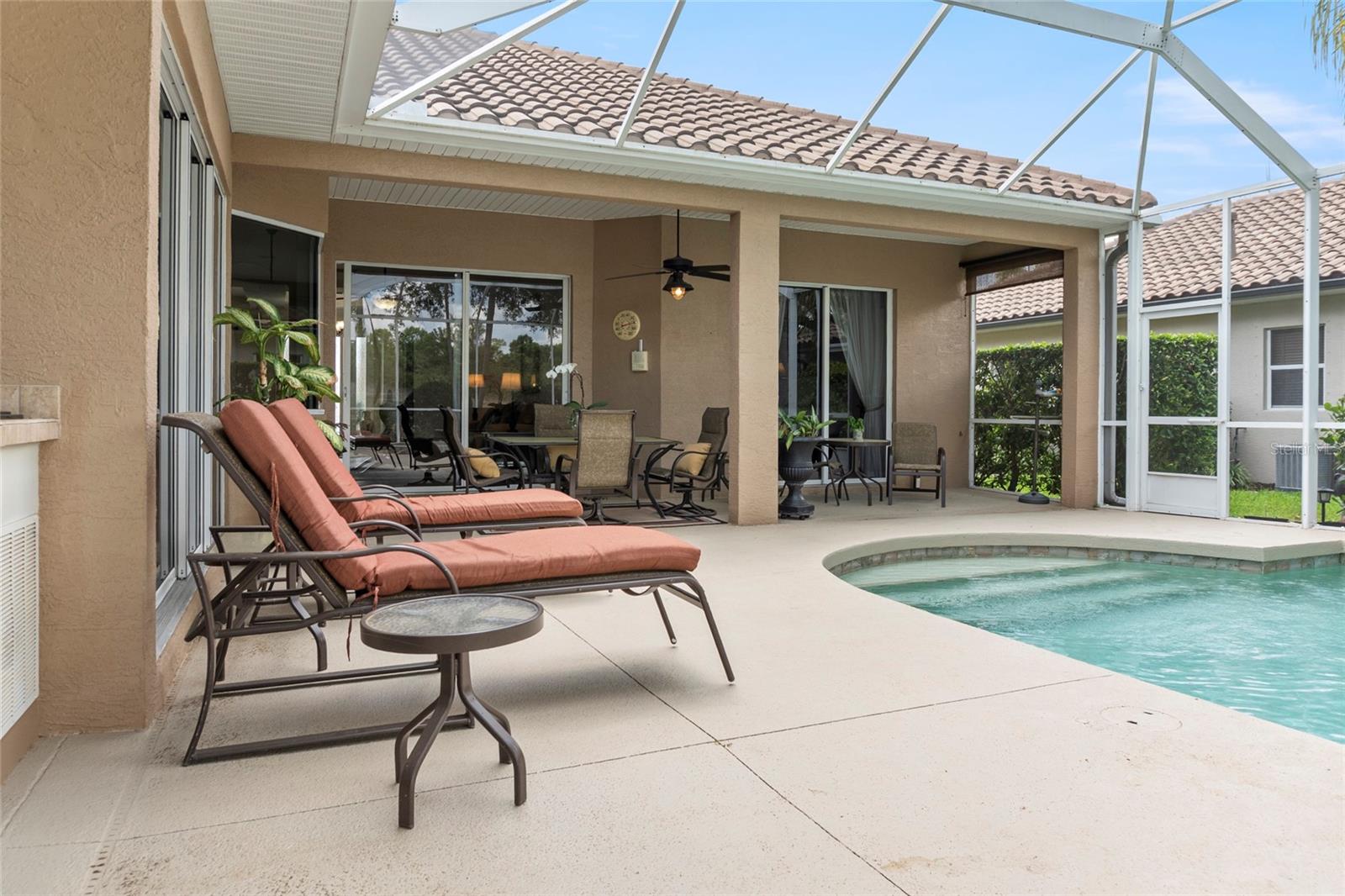 Image 21 of 42 For 1872 Coconut Palm Circle