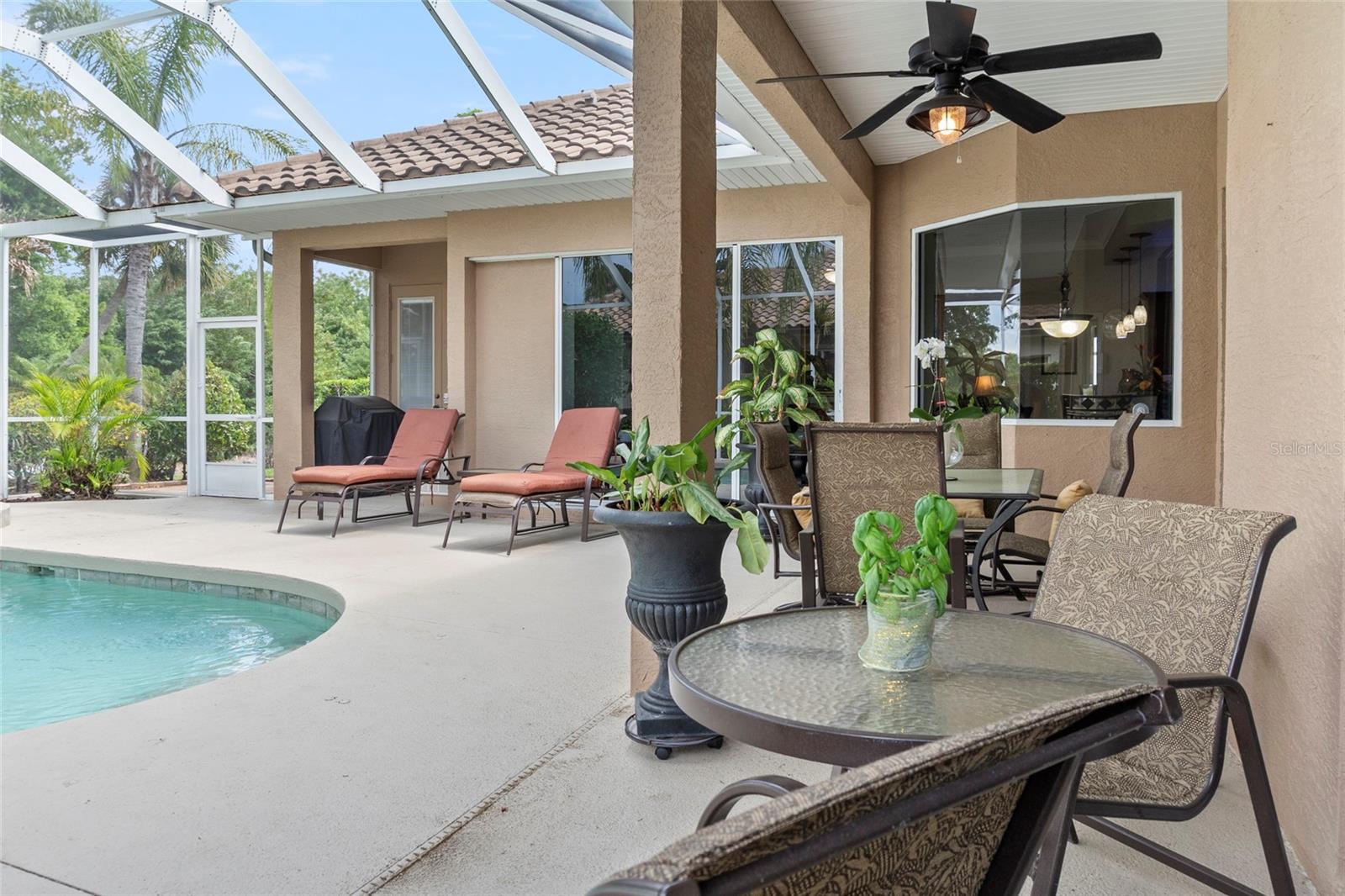 Image 24 of 42 For 1872 Coconut Palm Circle