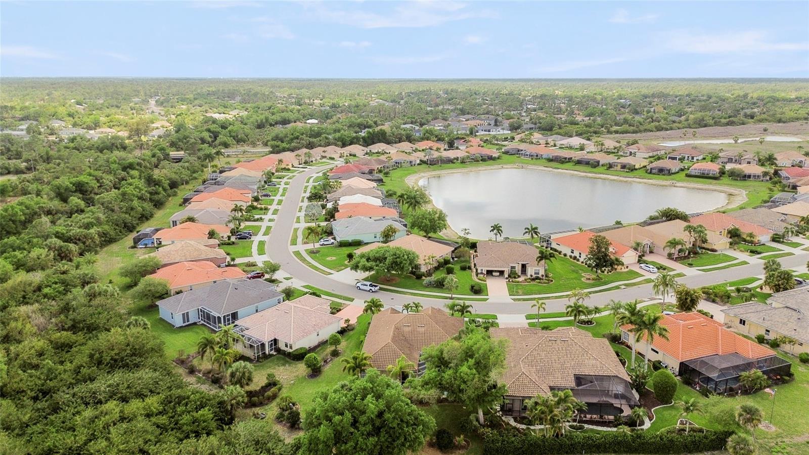 Image 42 of 42 For 1872 Coconut Palm Circle