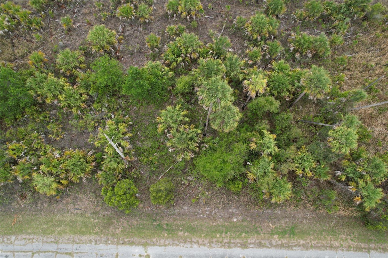 Image 7 of 8 For Candlelight Road