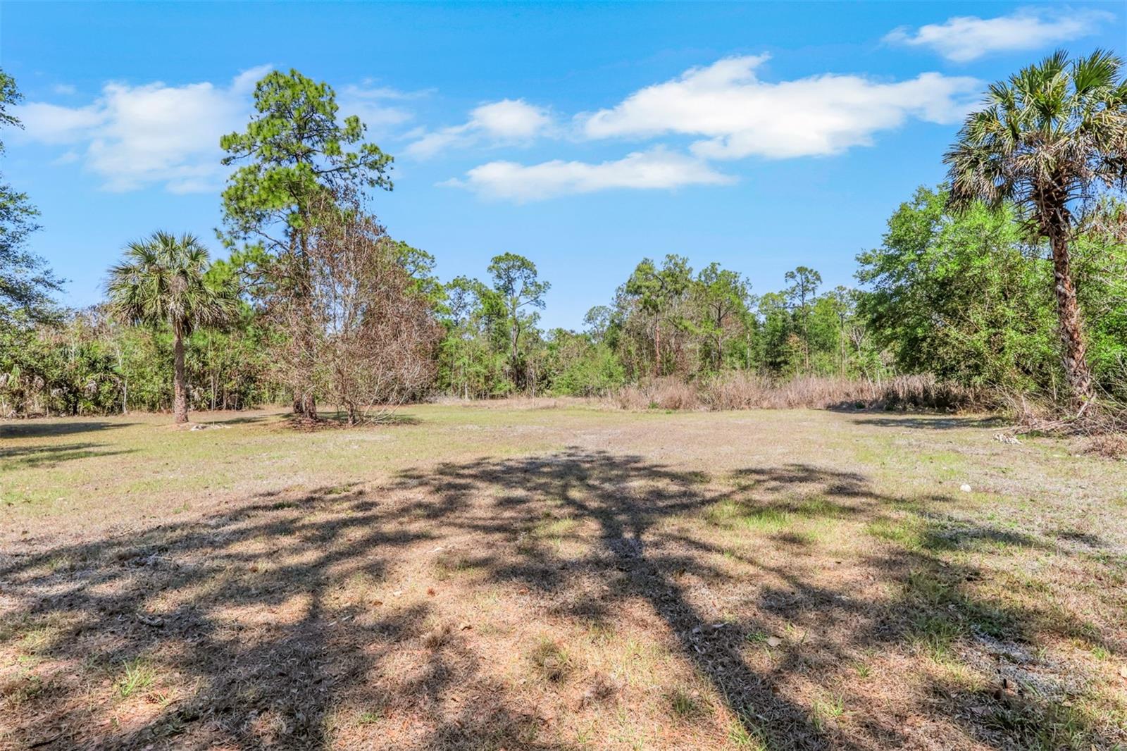 Image 16 of 19 For 2977 4th Avenue Se